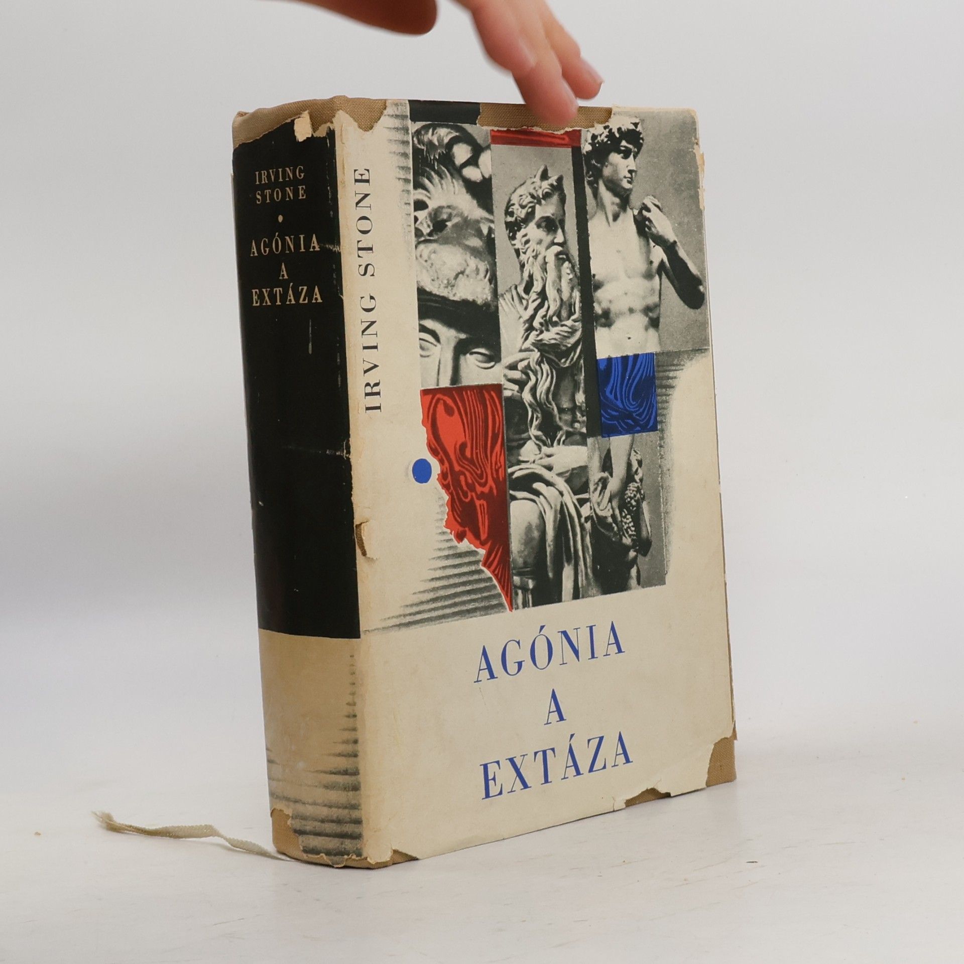 Irving Stone Agónia a extáza