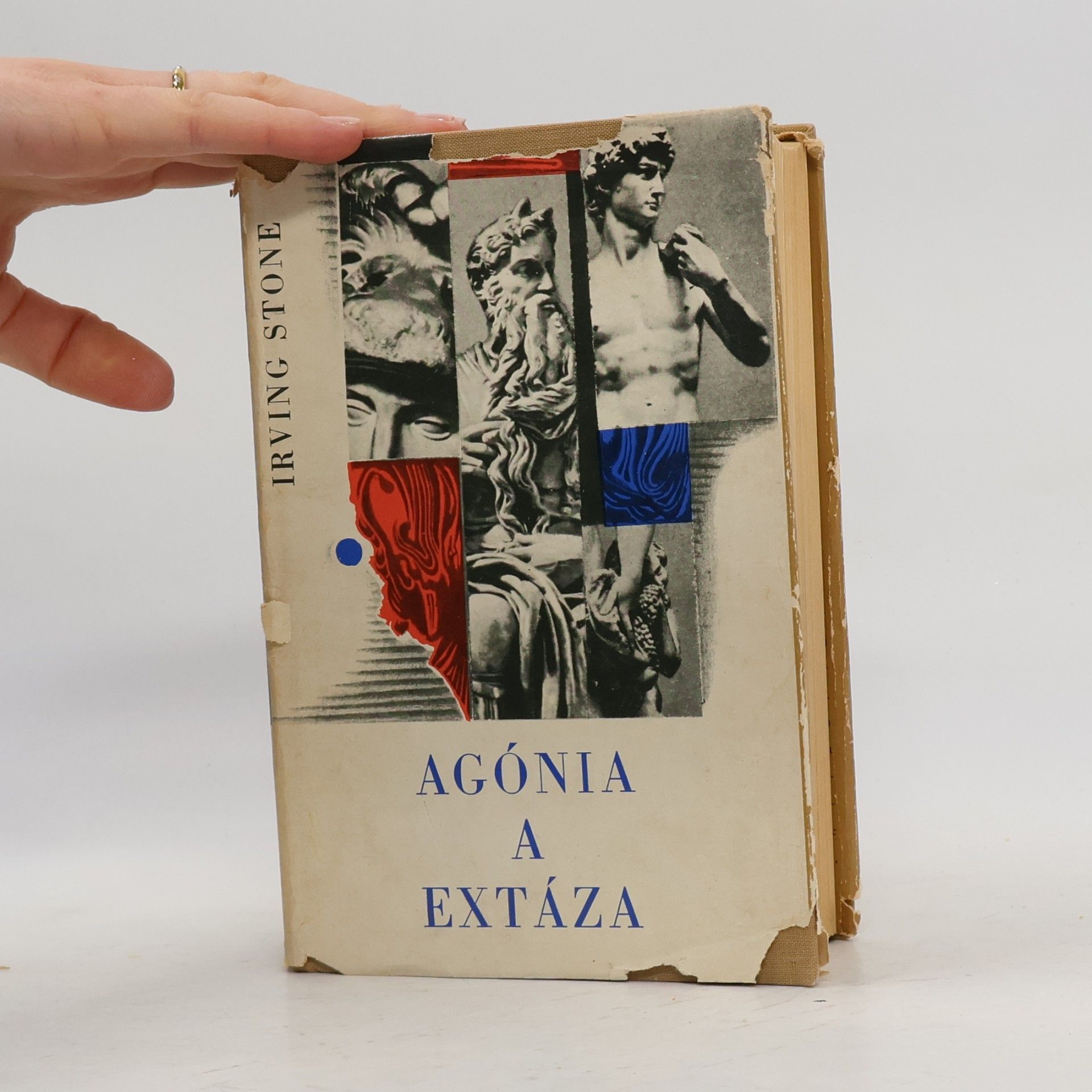 Irving Stone Agónia a extáza