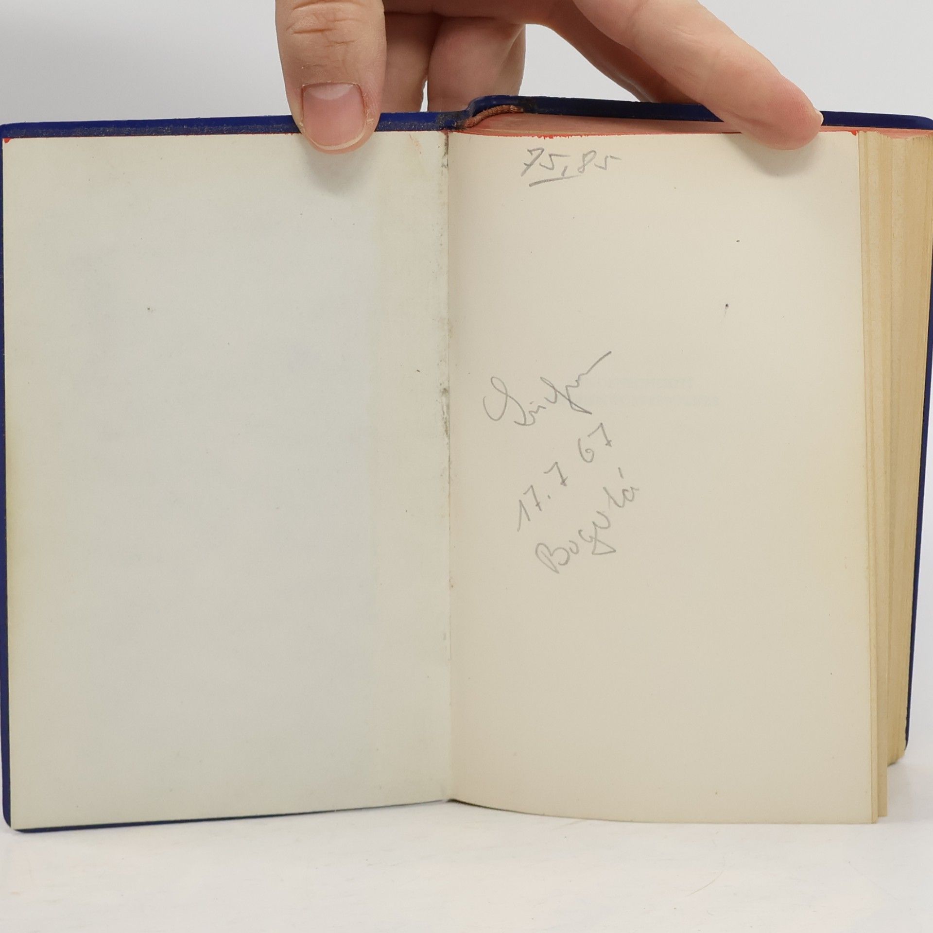 Schoen Langenscheidts Taschenwörterbücher