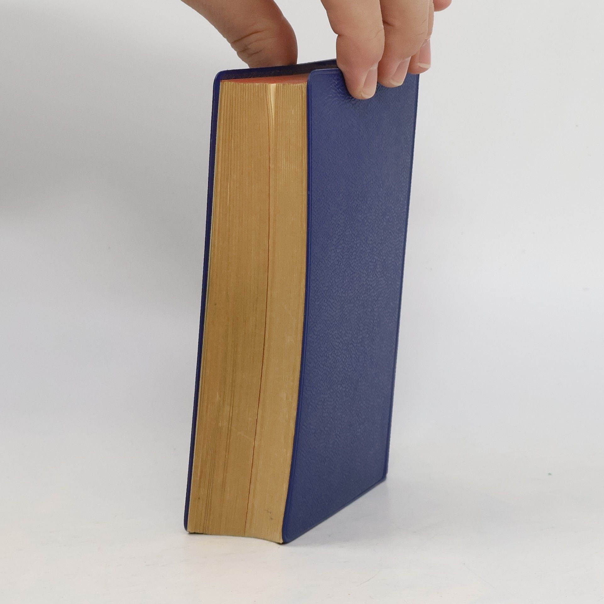 Schoen Langenscheidts Taschenwörterbücher
