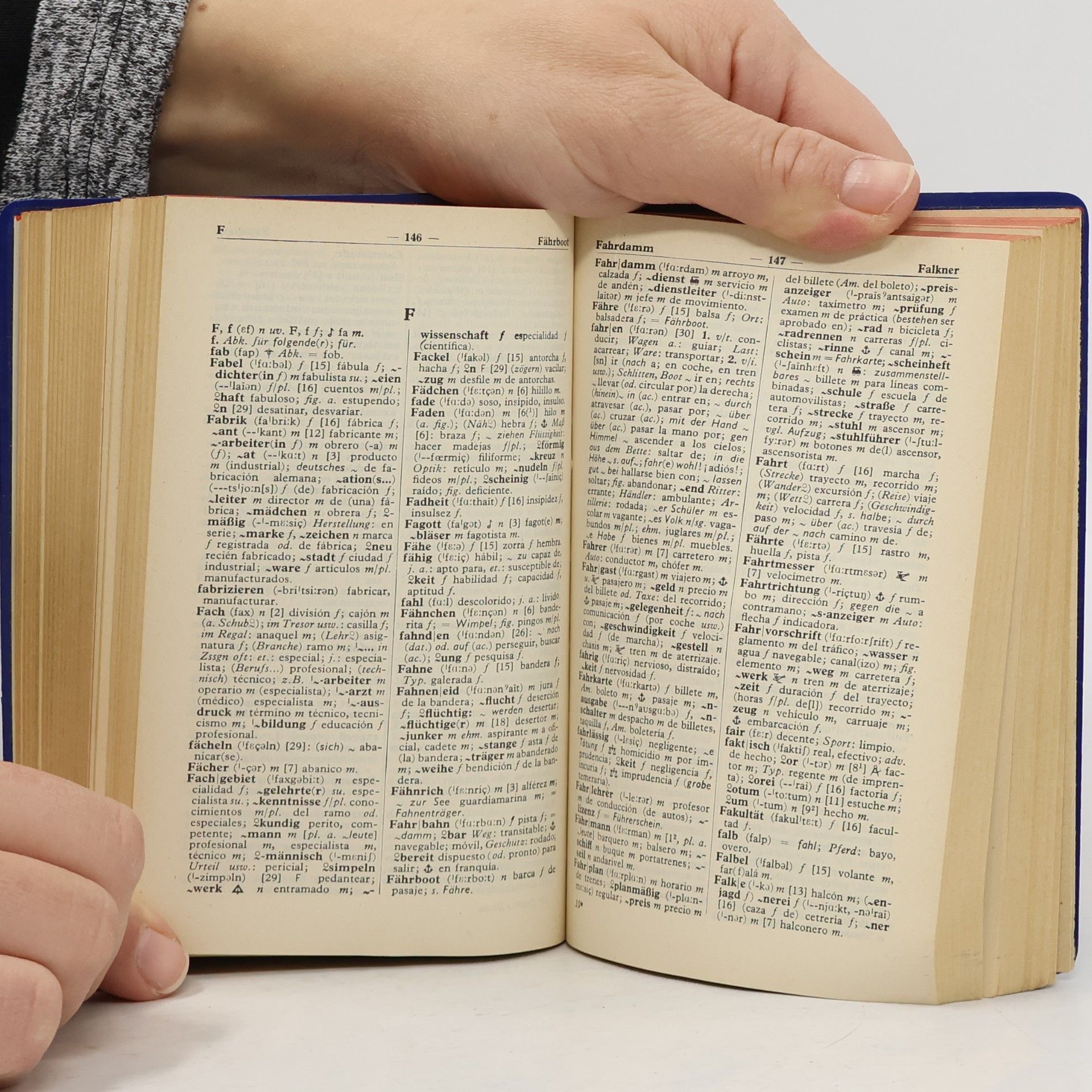 Schoen Langenscheidts Taschenwörterbücher