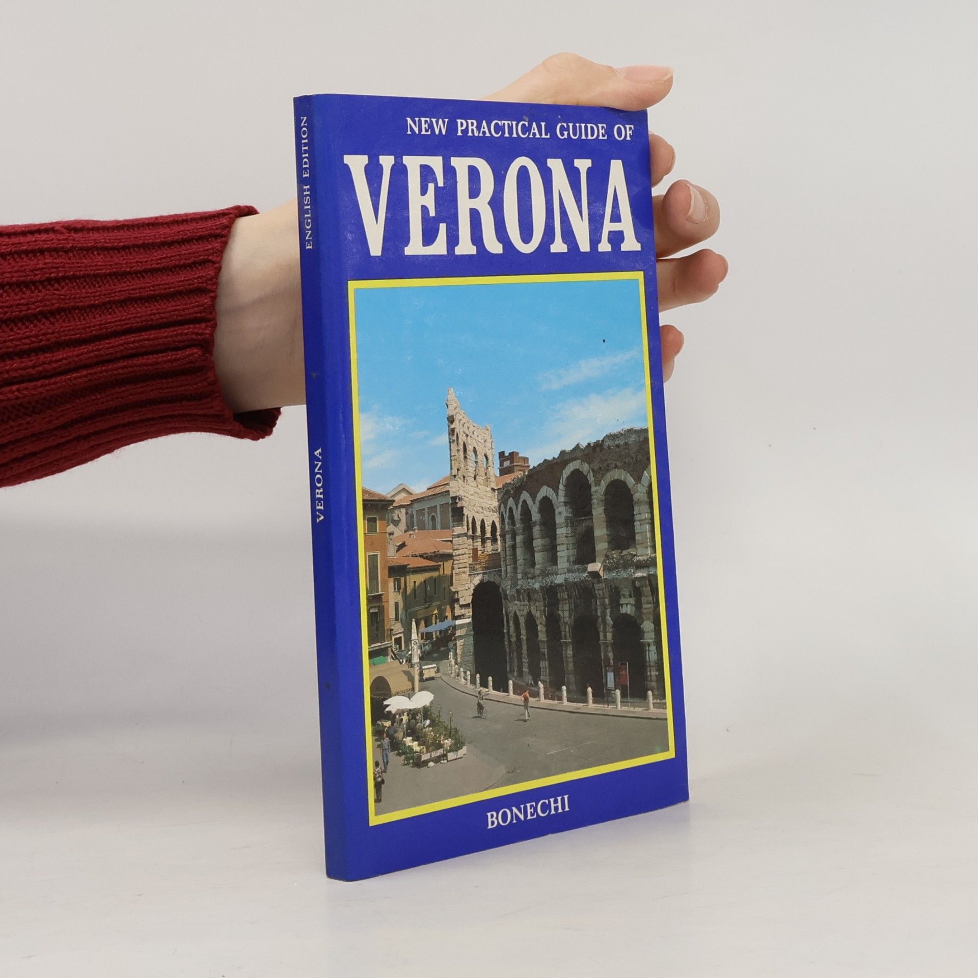 AA.VV. New Practical Guide of Verona