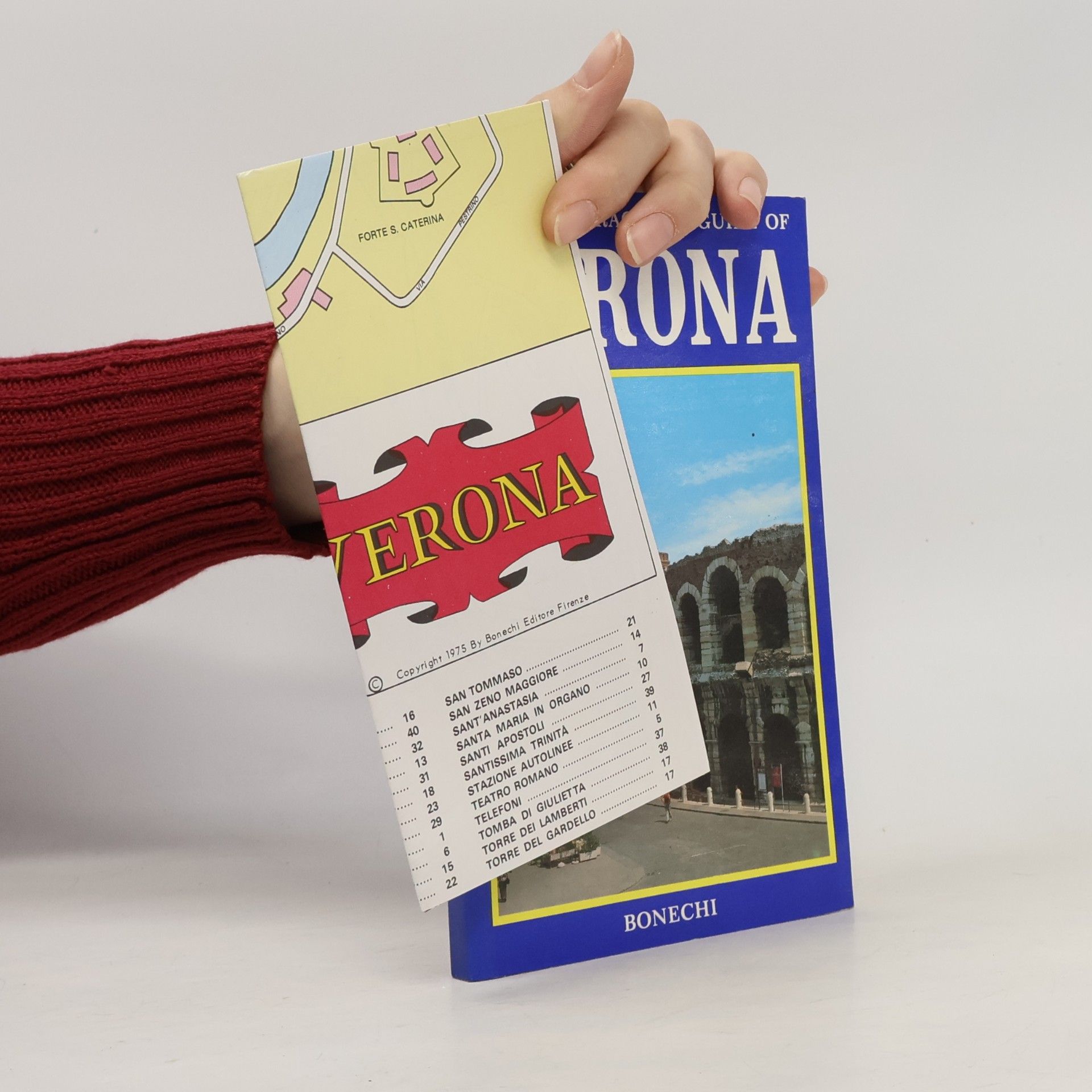 AA.VV. New Practical Guide of Verona