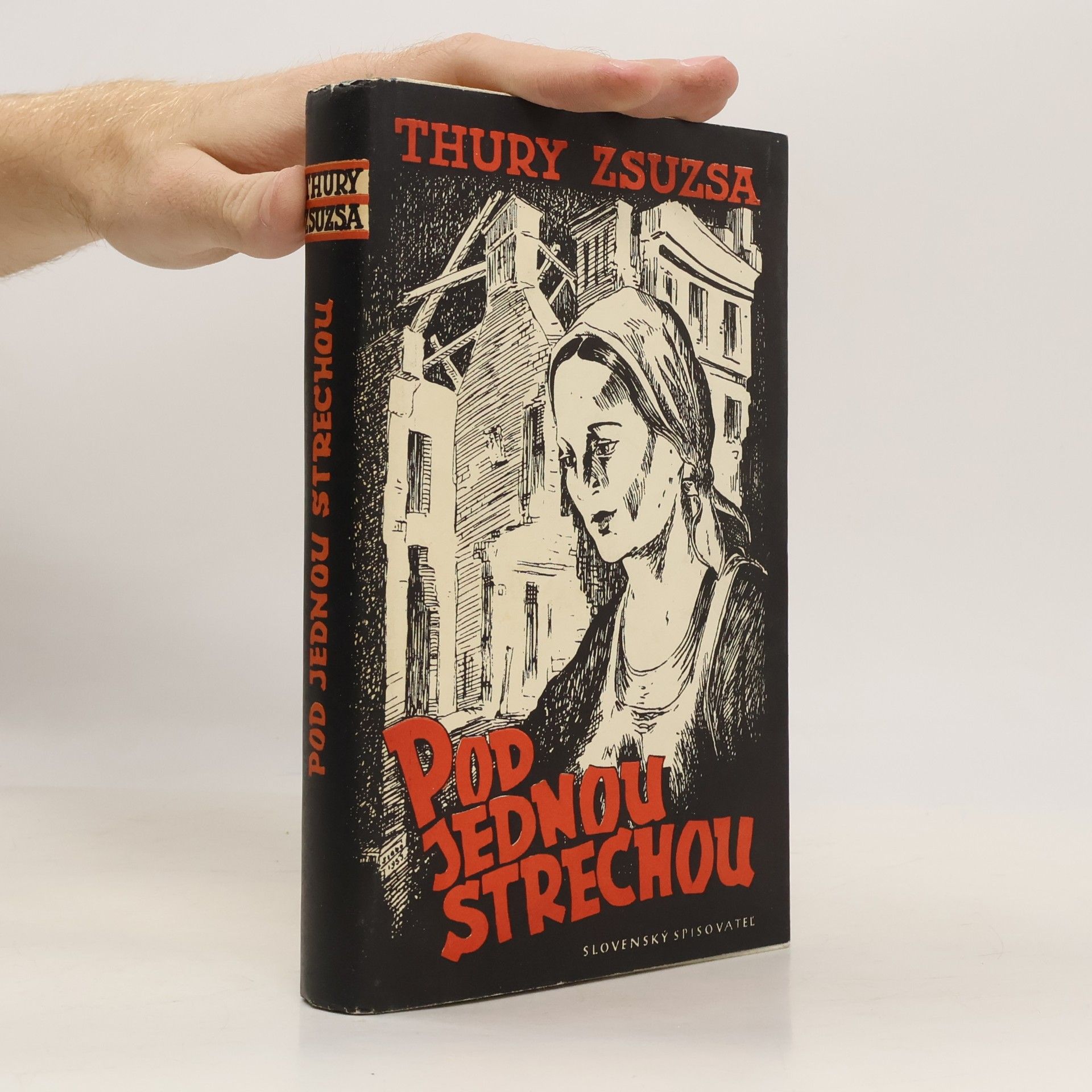 Pod jednou strechou : román
