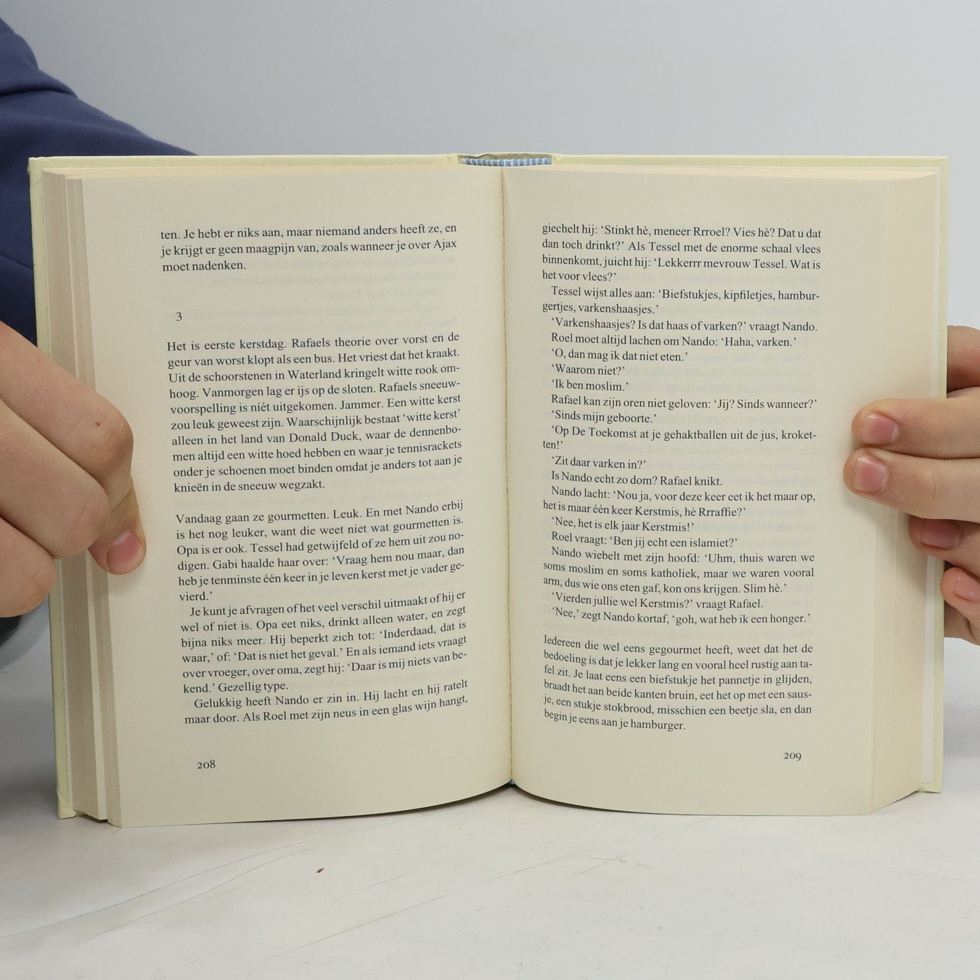 Jan Eilander Het grote boek van Raffie