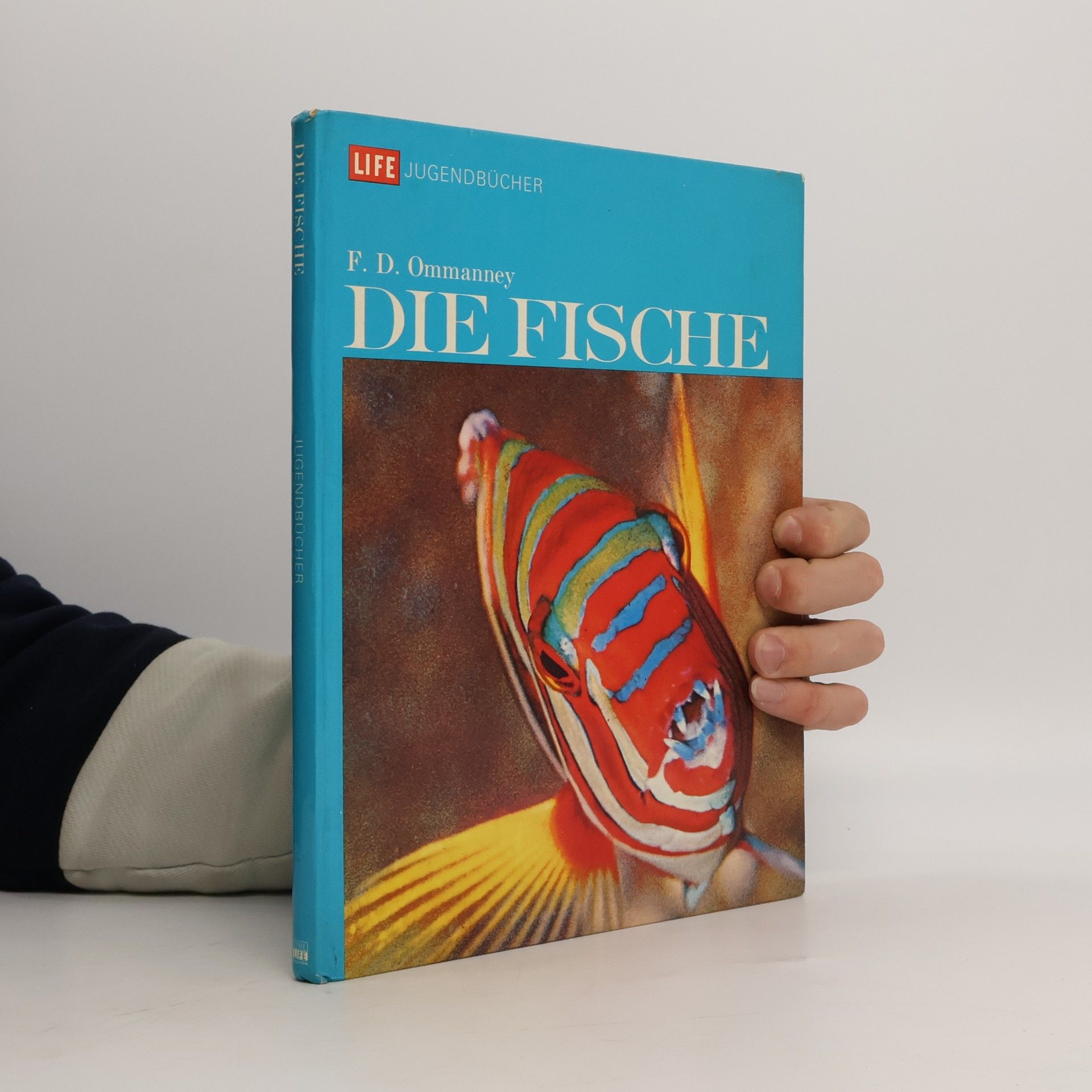F. D. Ommanney Die Fische