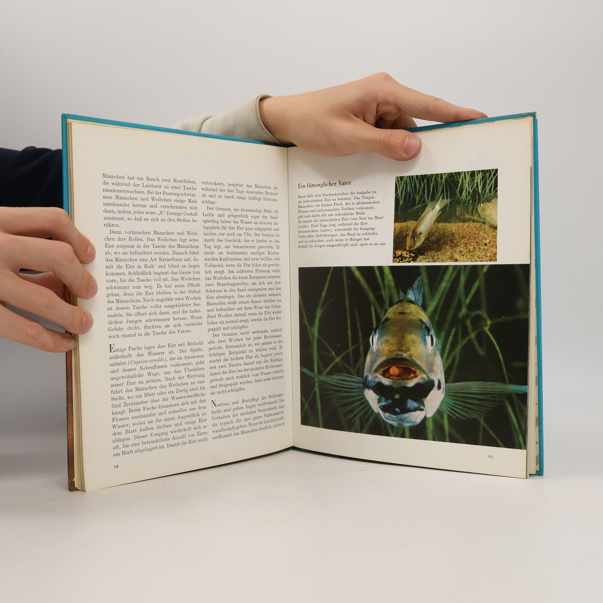 F. D. Ommanney Die Fische