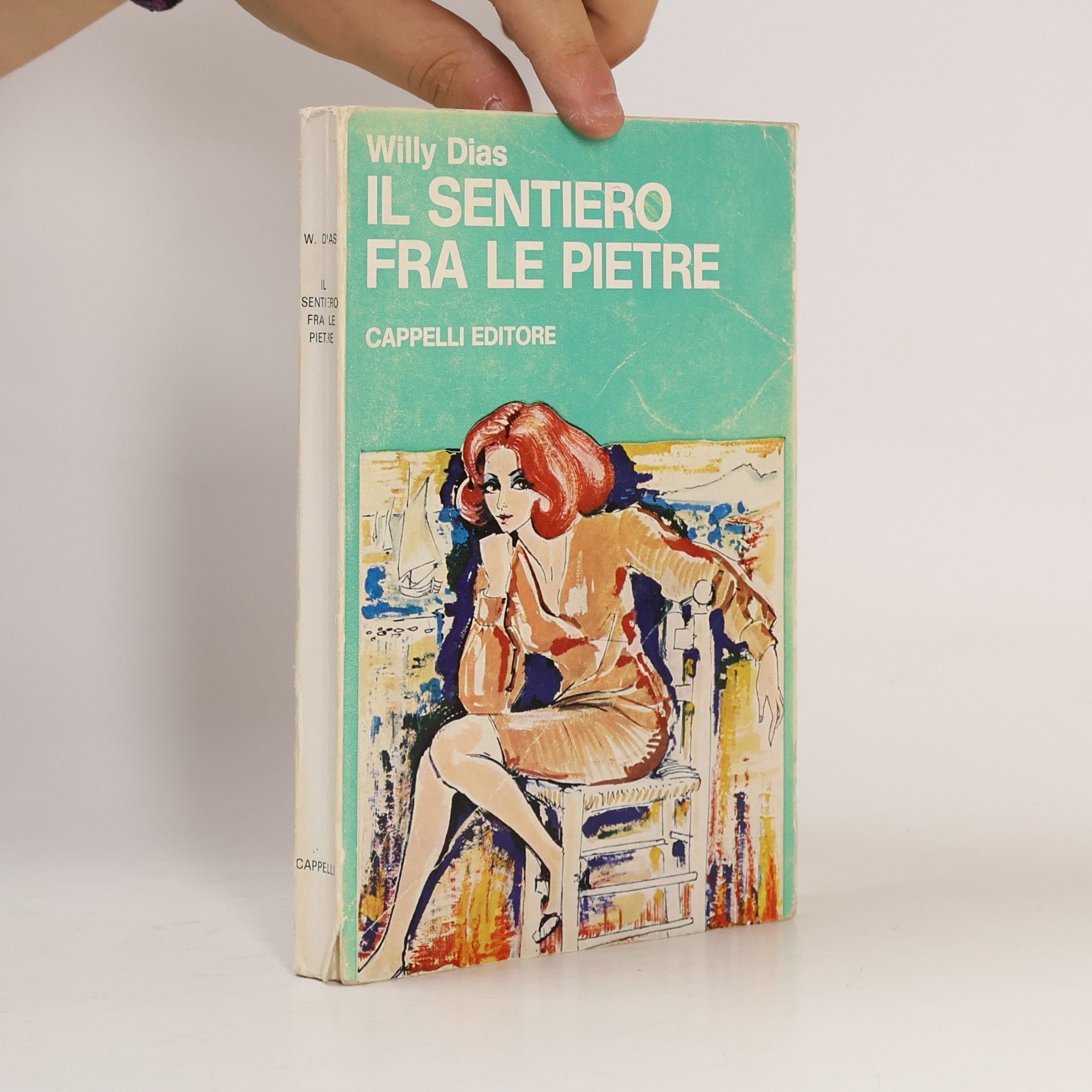 Willy Dias Il sentiero fra le pietre