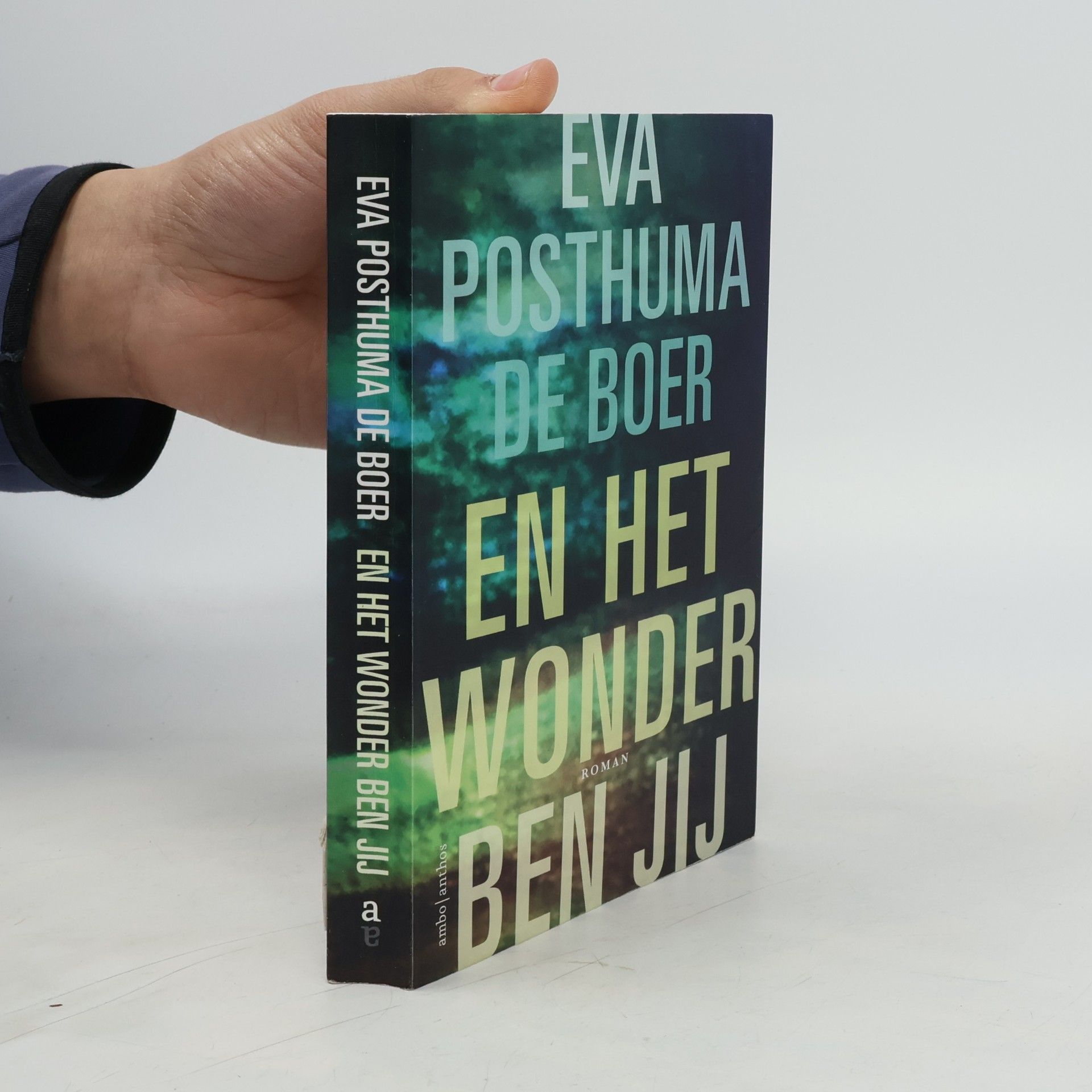 Eva Posthuma de Boer En het wonder ben jij