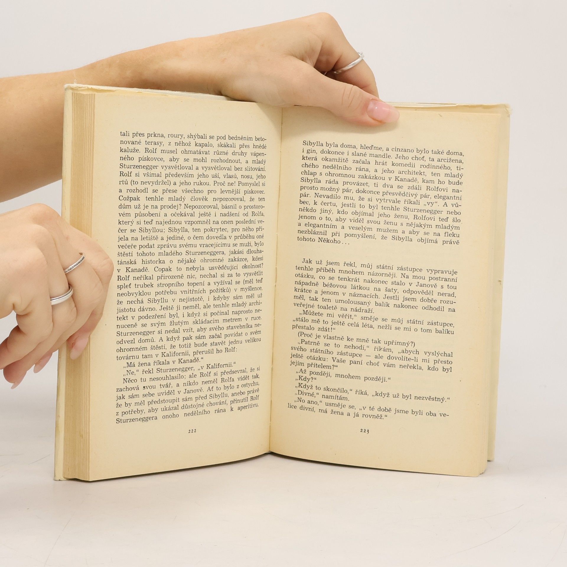 Max Frisch Stiller