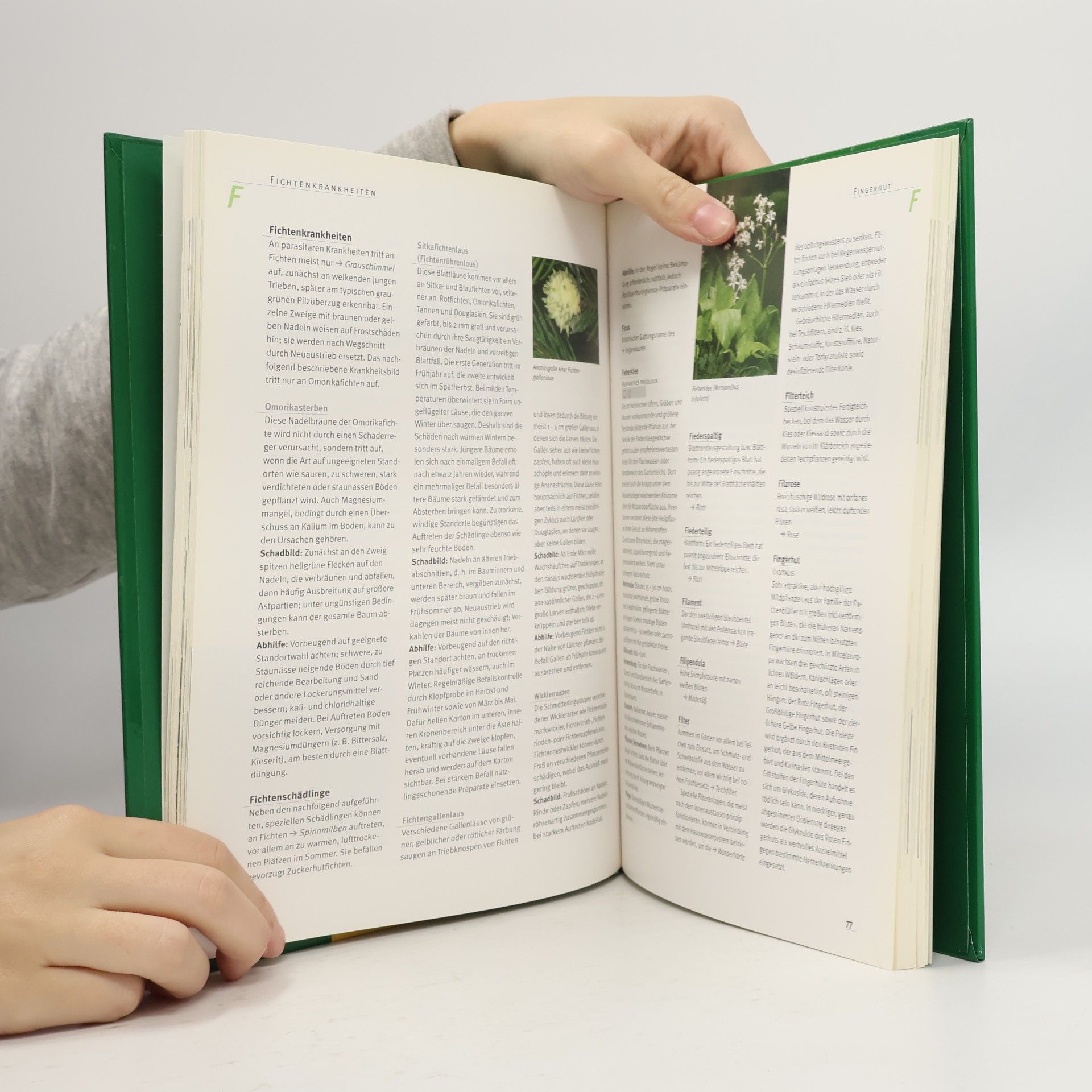 Joachim Mayer Das Grosse Gartenlexikon. E-G