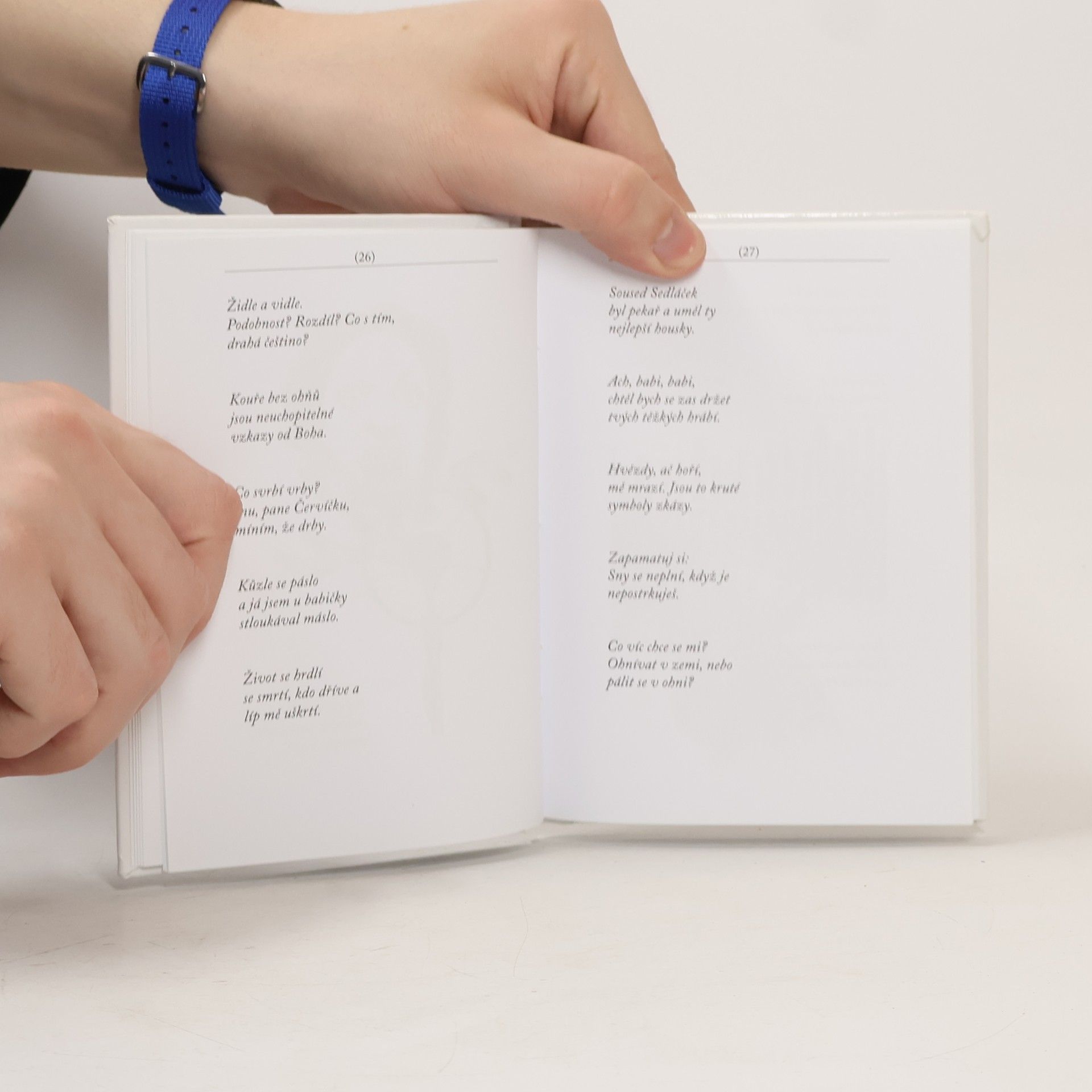 Miloň Čepelka Deník Haiku 4