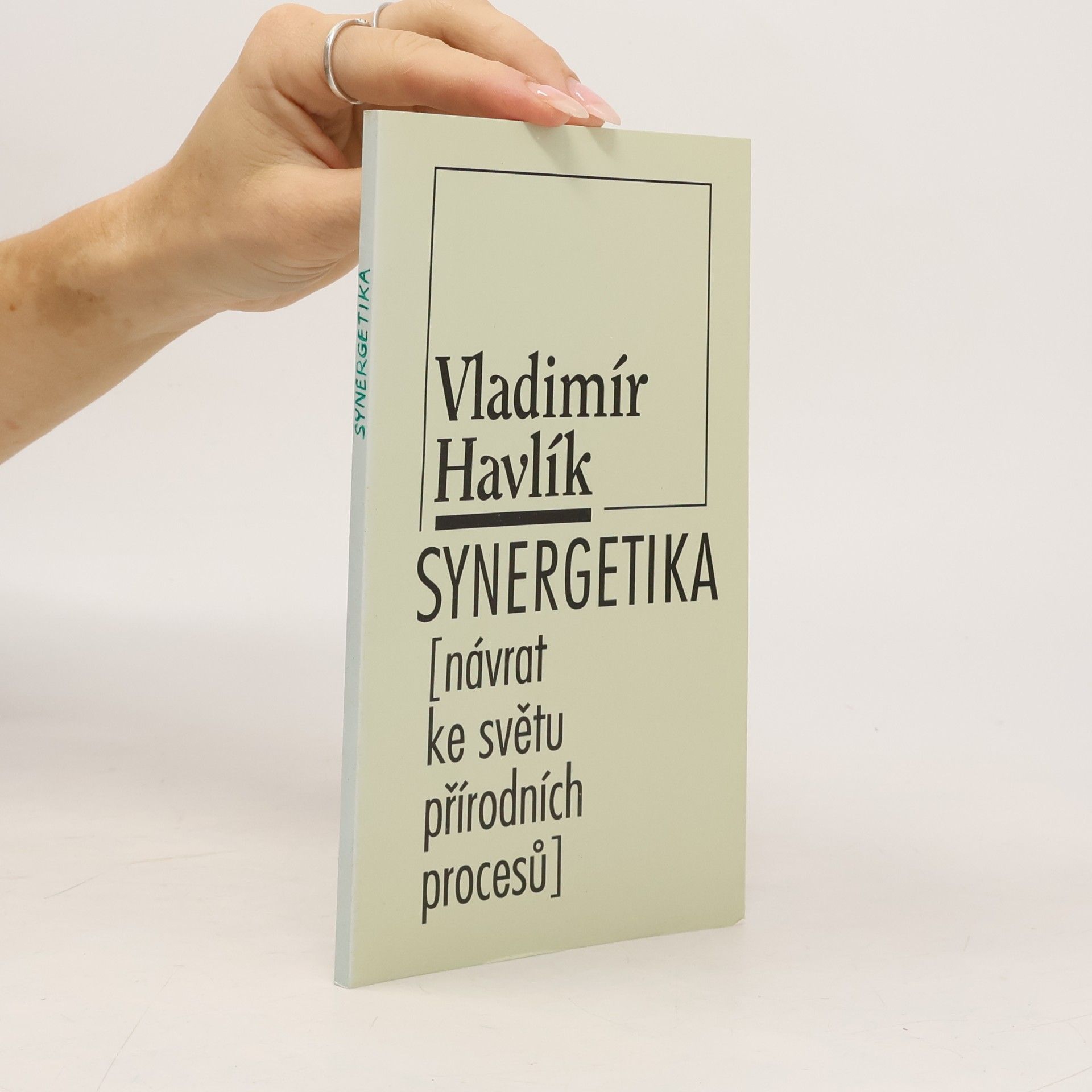 Vladimír Havlík Synergetika. Návrat ke světu přirodních procesů.
