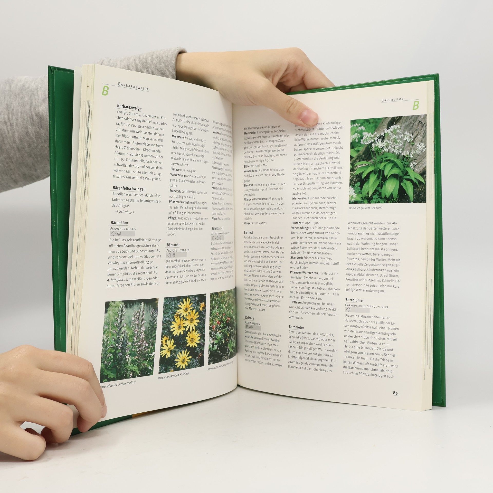 Joachim Mayer Das Grosse Gartenlexikon von A-Z 1. A-D