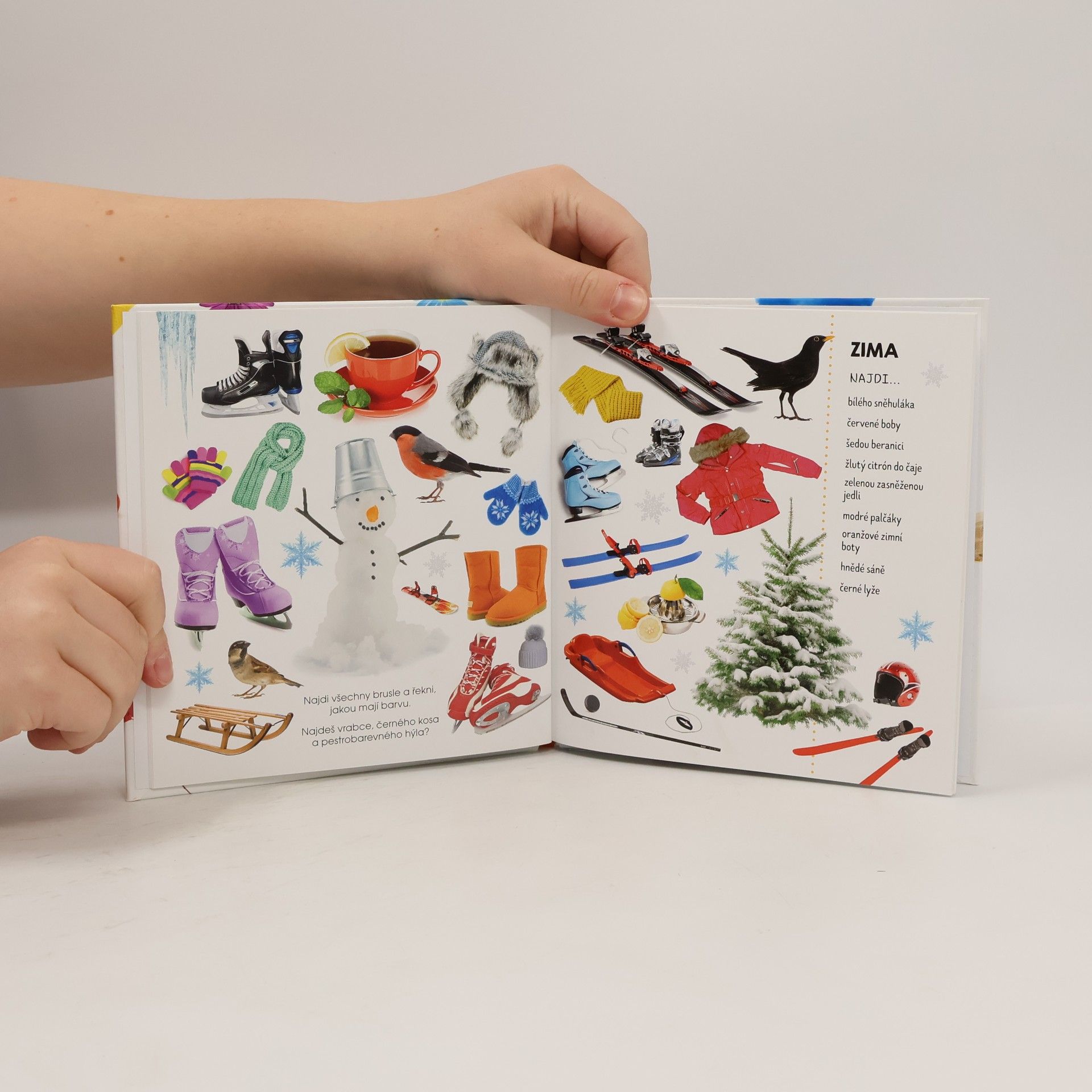 Autores varios Roční období : fotokniha