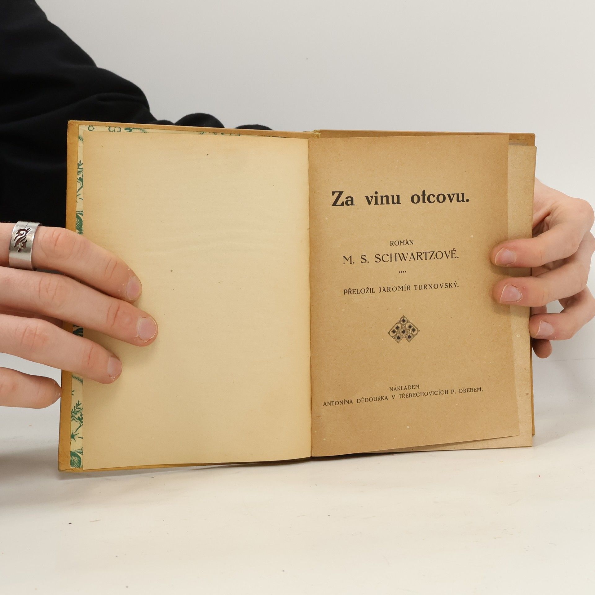 M. S. Schwartzová Za vinu otcovu
