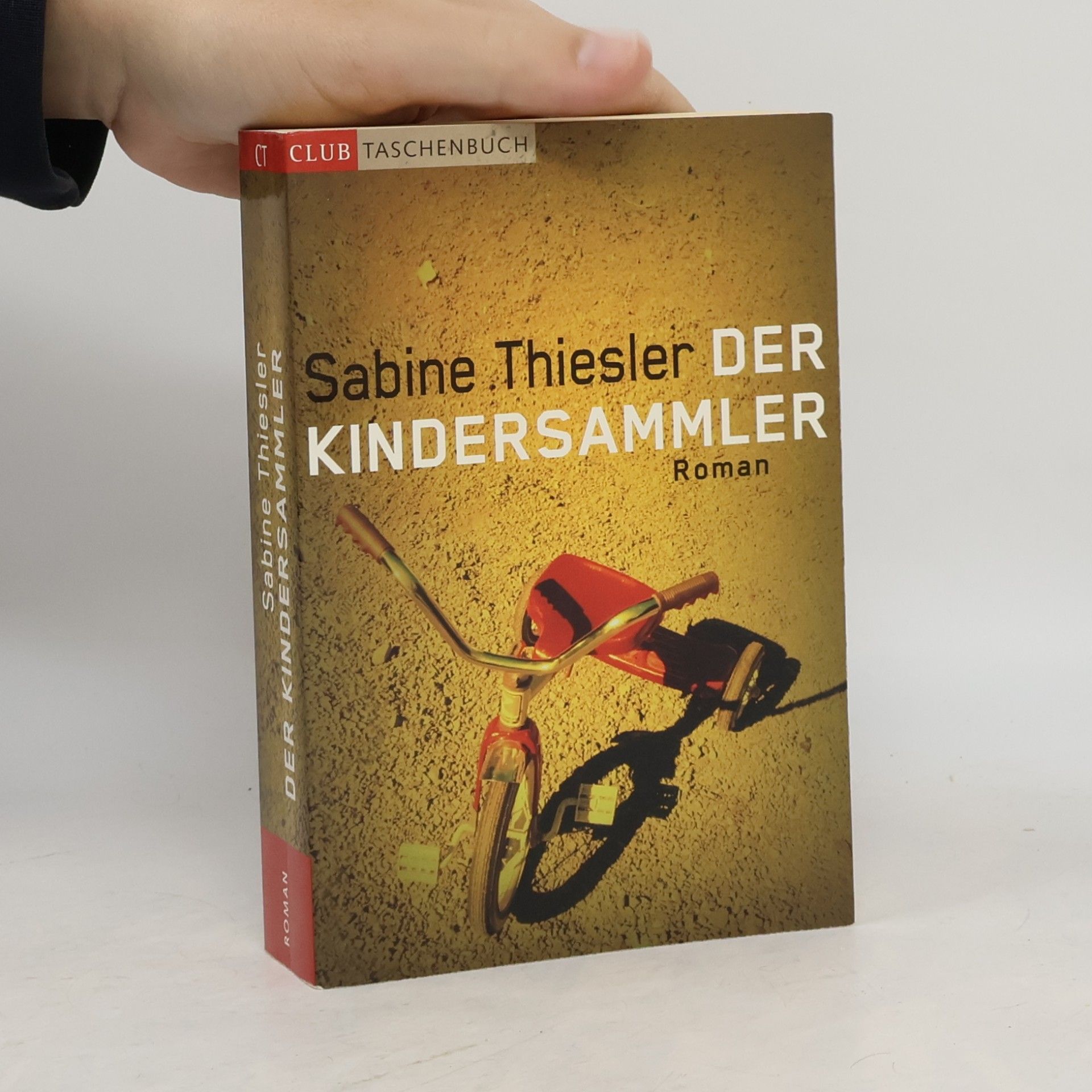 Sabine Thiesler Der Kindersammler