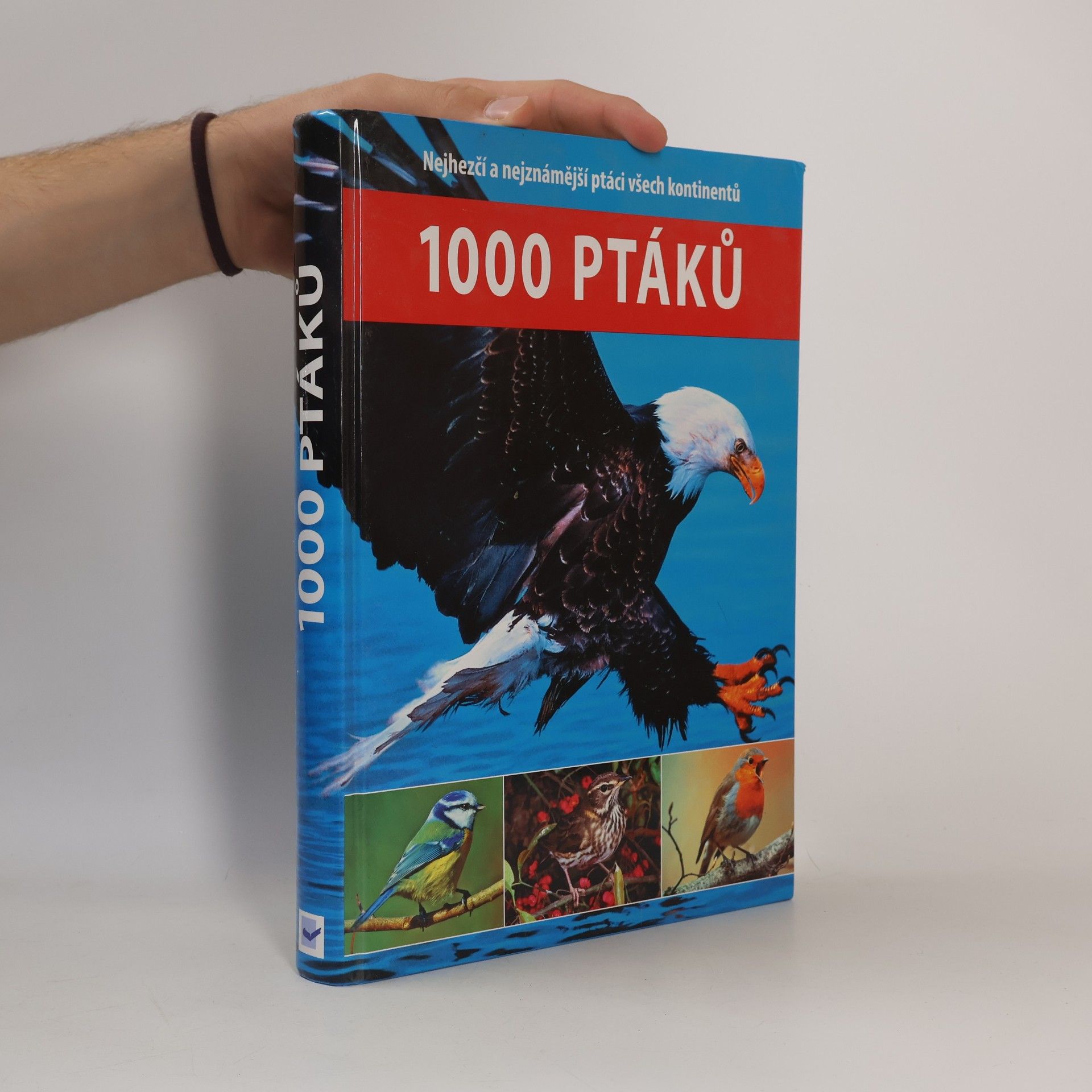 1000 ptáků Tisíc ptáků