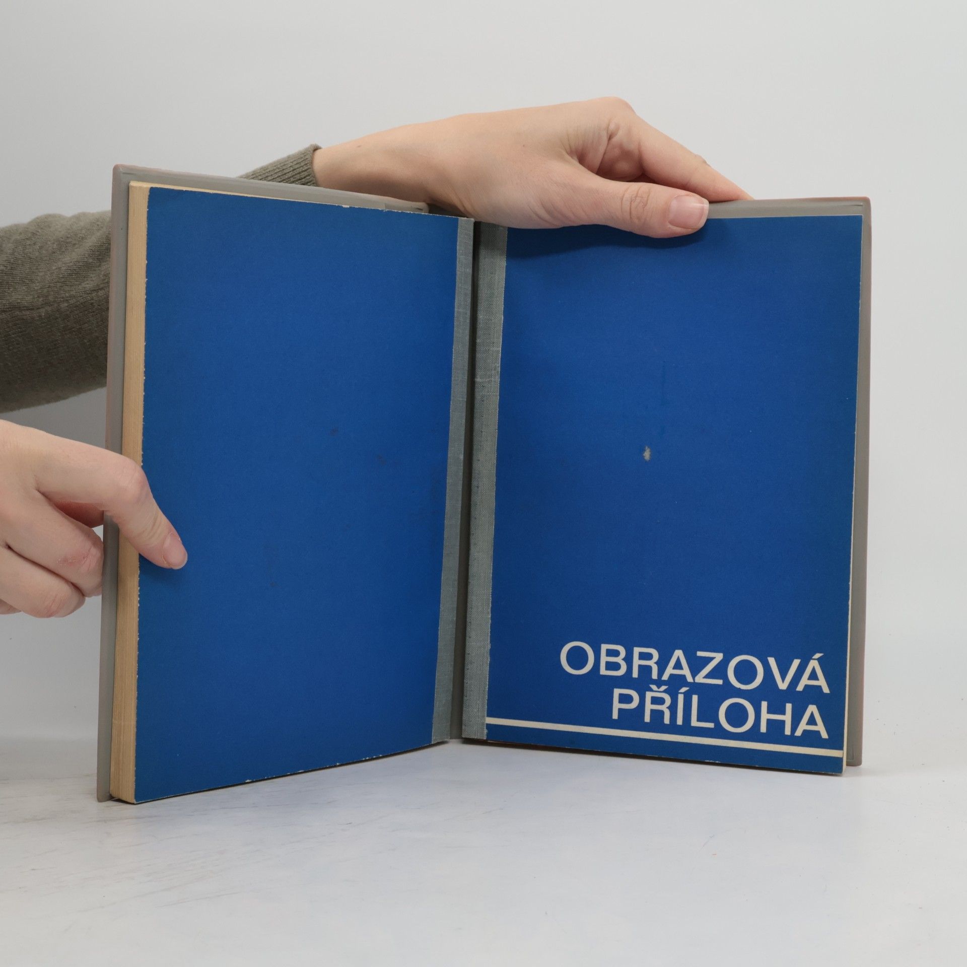 Karel Křen Moderní automobil v obrazech
