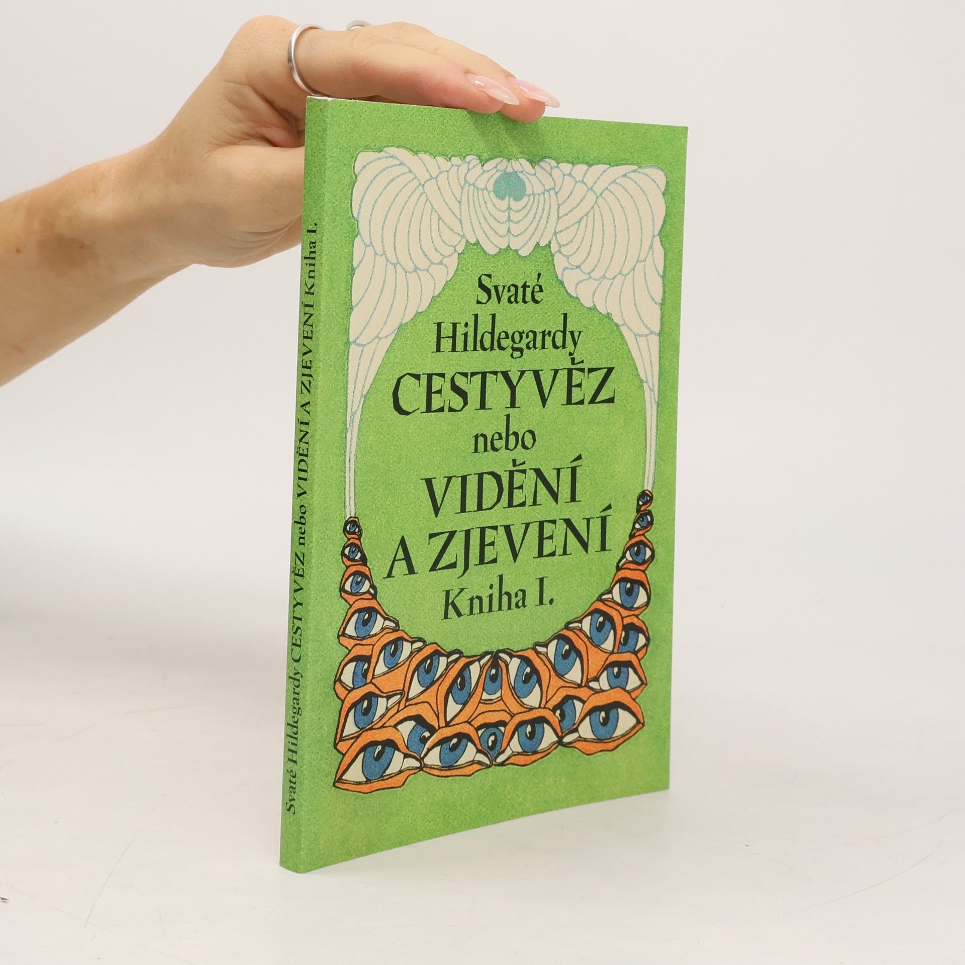 Svaté Hildegardy Cestyvěz nebo Vidění a zjevení. Kniha I.
