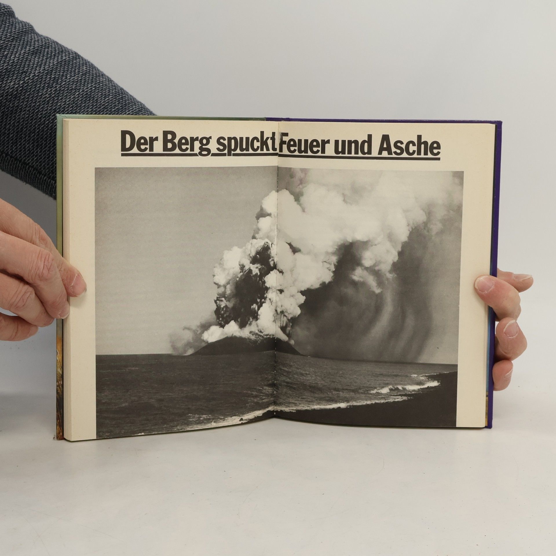 Auteurscollectief Feuer, Wasser, Sturm und Schnee. Naturgewalten