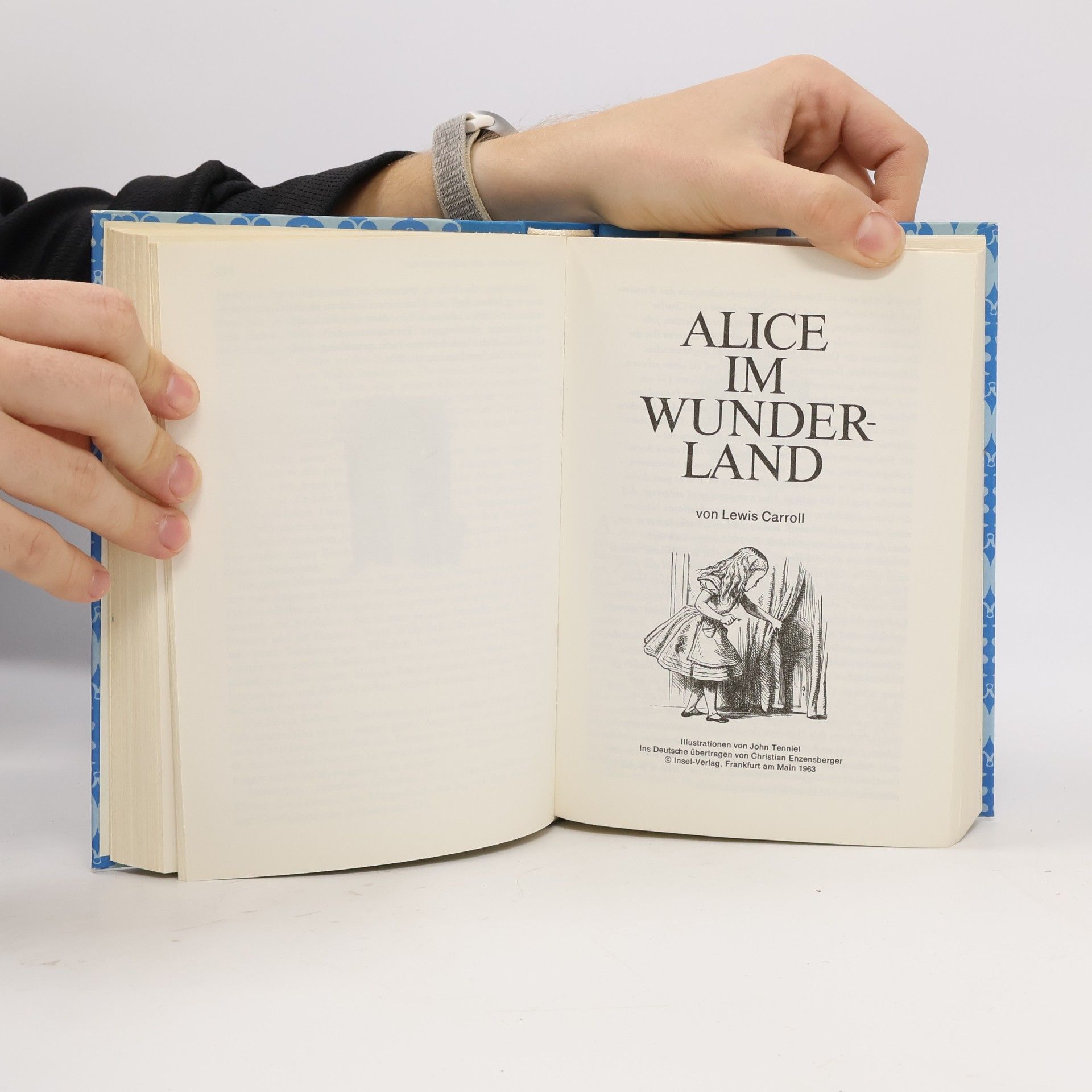 Lewis Carroll Jan Himp und die kleine Brise, Alice im Wunderland, Denn sie sollen getröstet werden, Die Abenteuer des Robin Hood, Der Besuch im Karzer