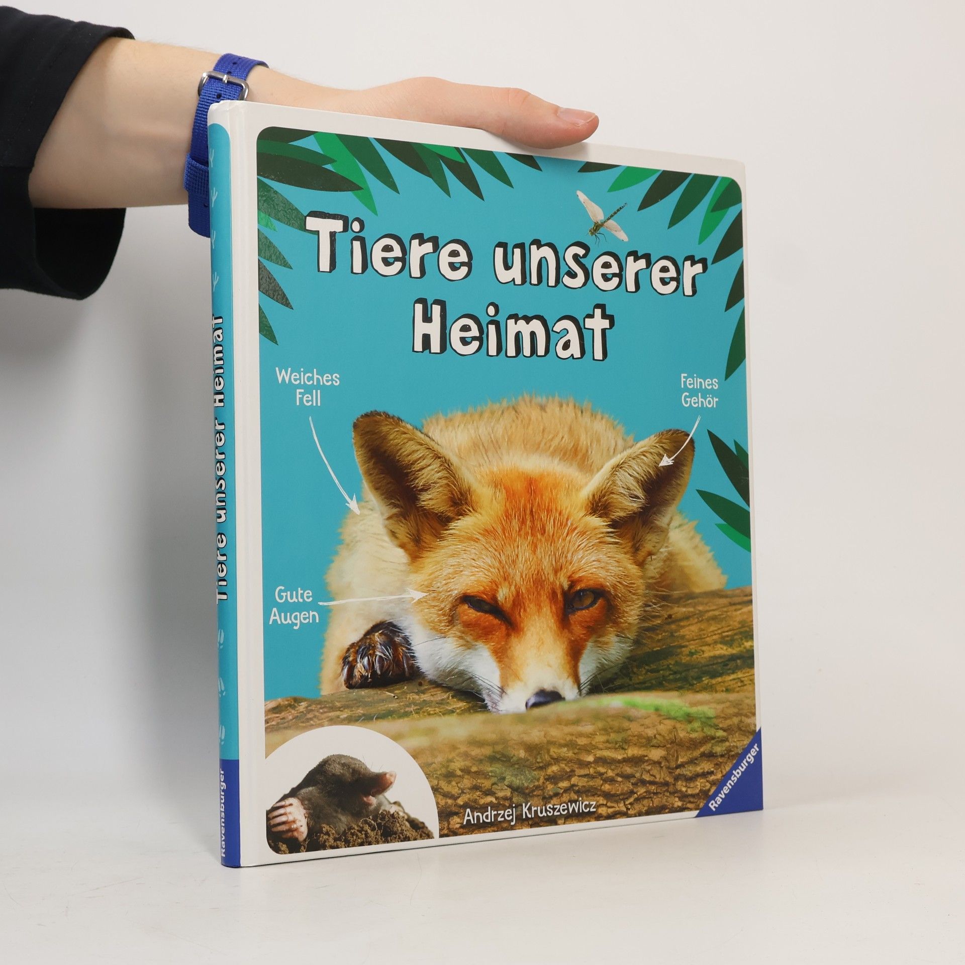 Tiere unserer Heimat