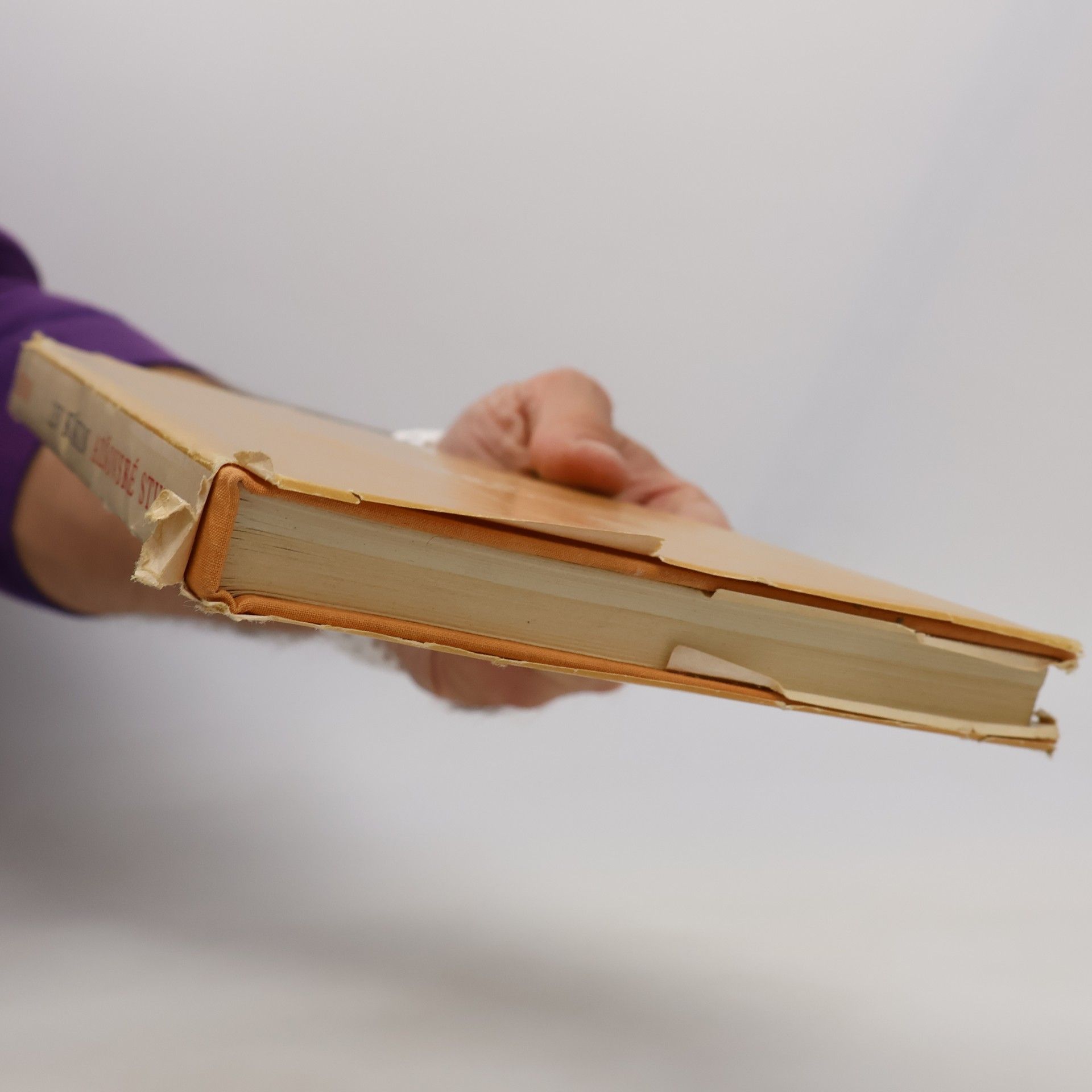 Lev Sergejevič Kiškin Alšovské studie