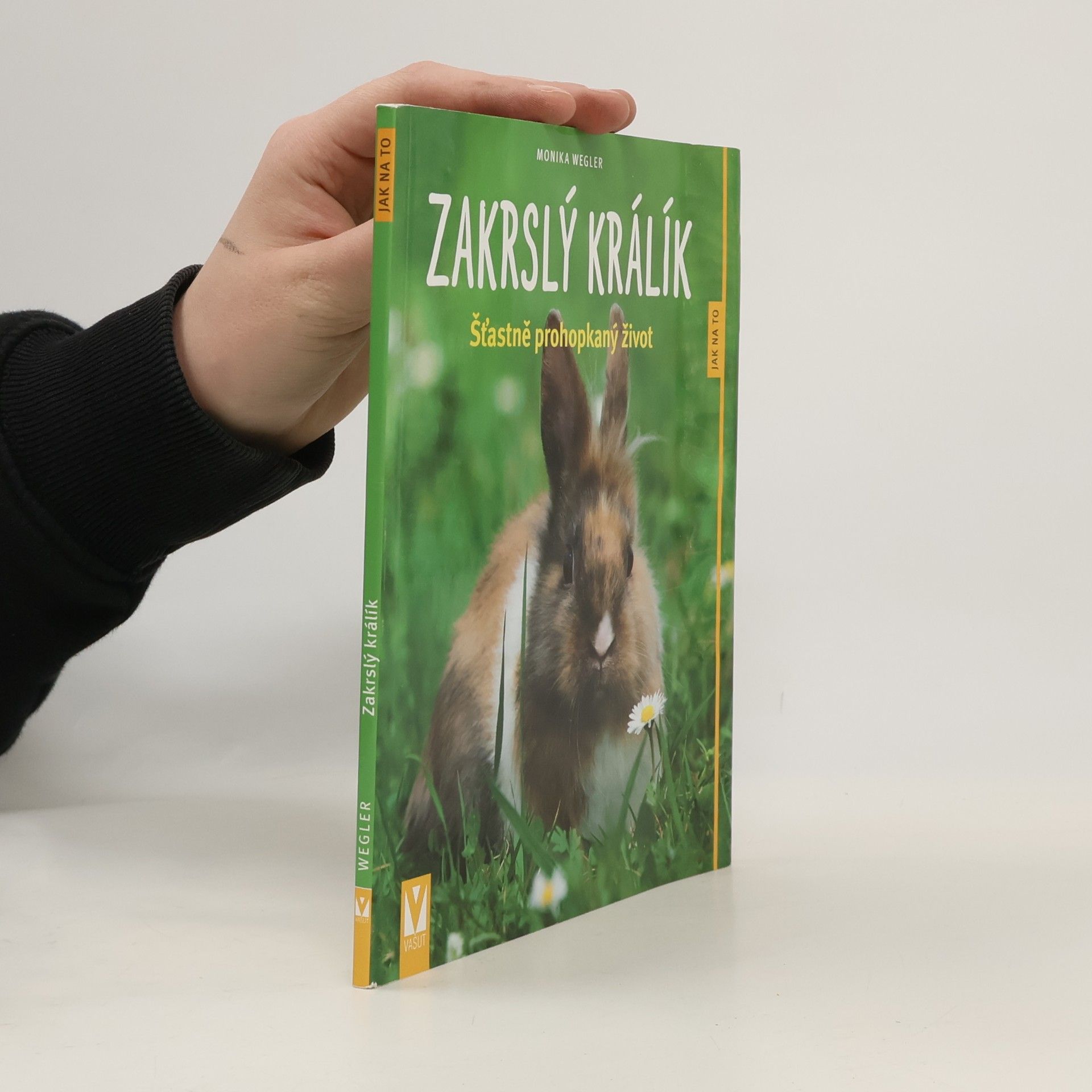 Zakrslý králík