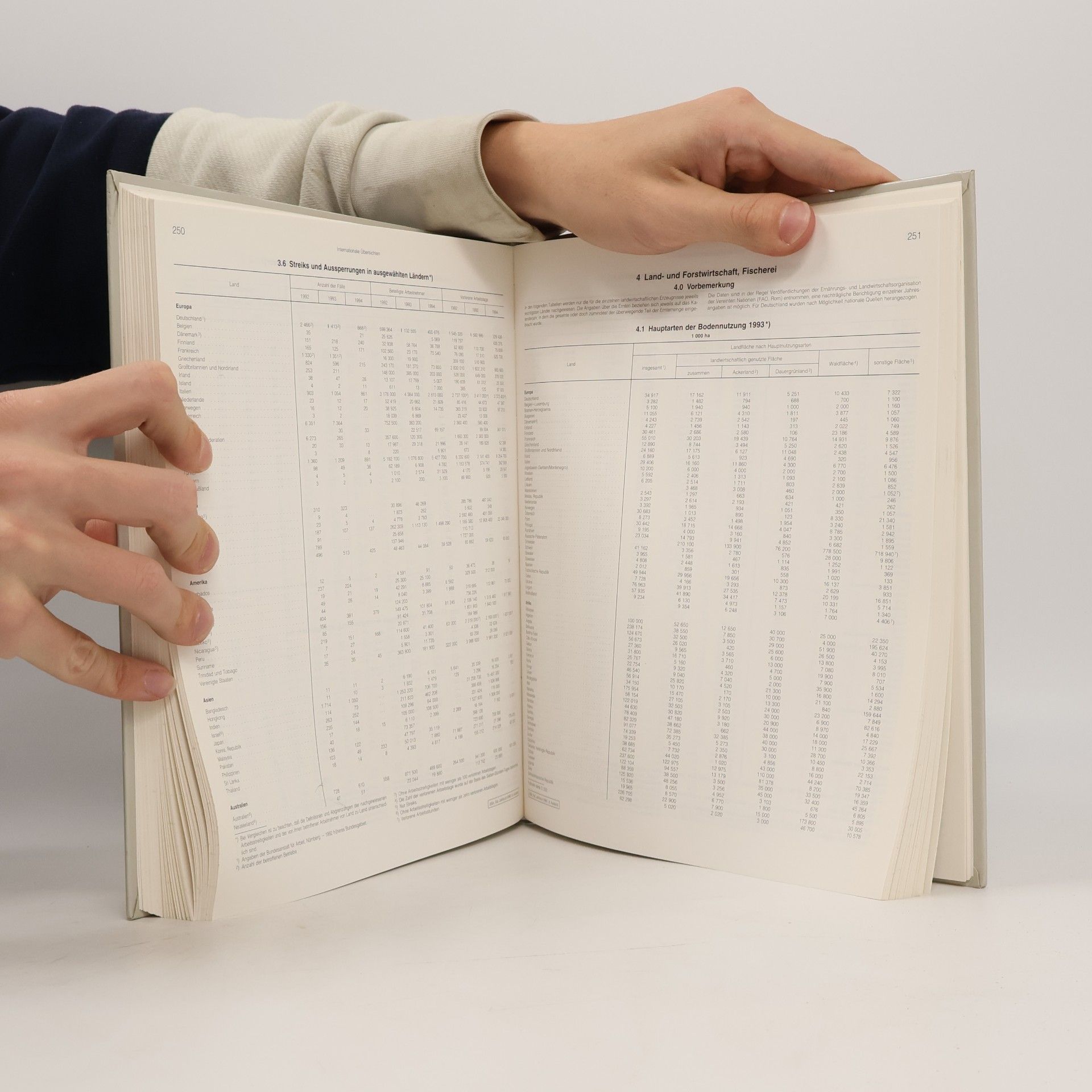 Statistisches Bundesamt Statistisches Jahrbuch 1996