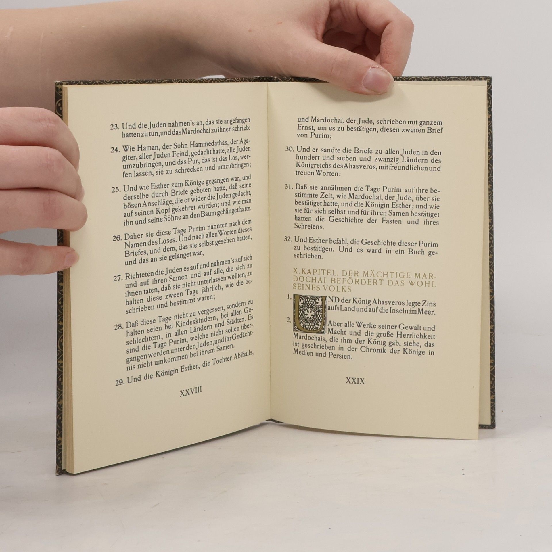 Martin Luther King Das Buch Esther