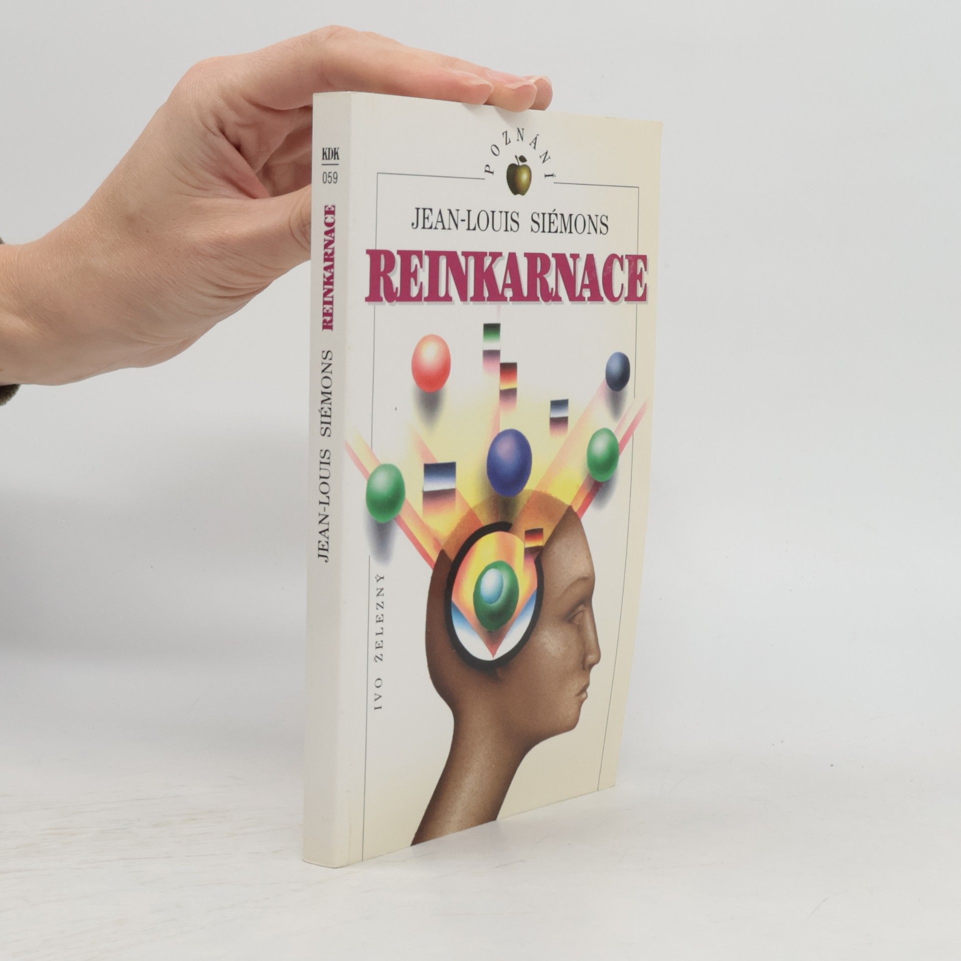 Reinkarnace
