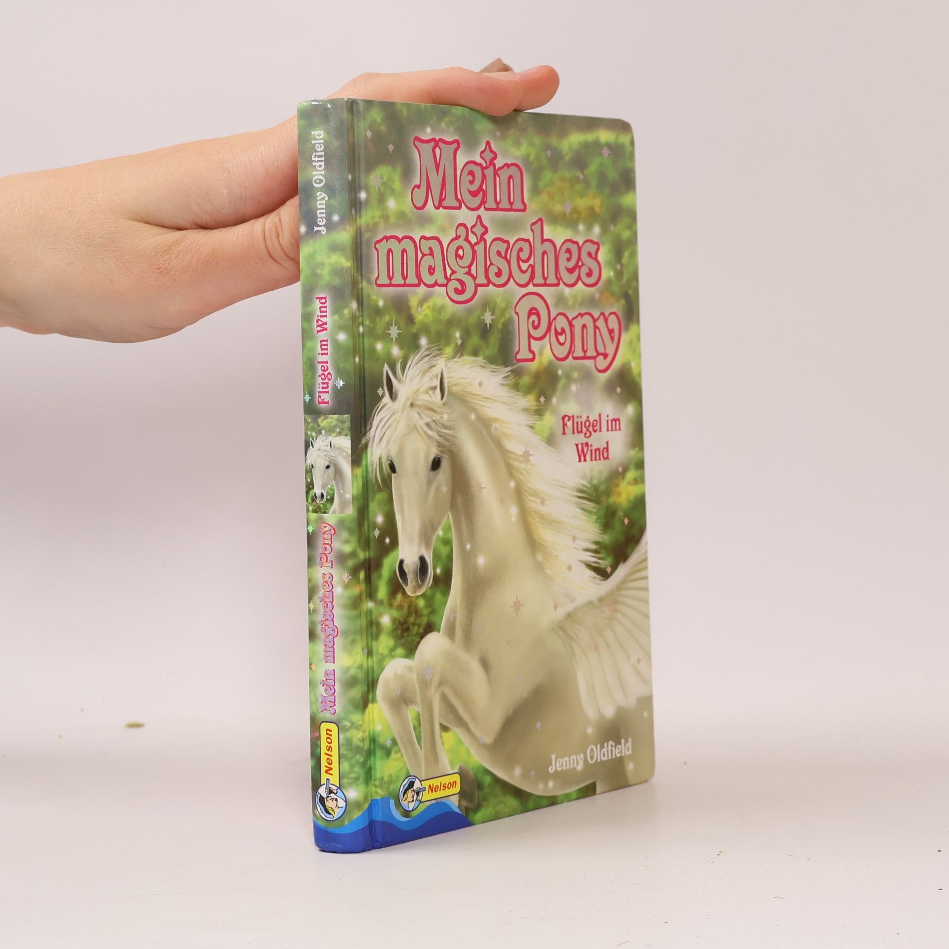 Jenny Oldfield Mein magisches Pony 1