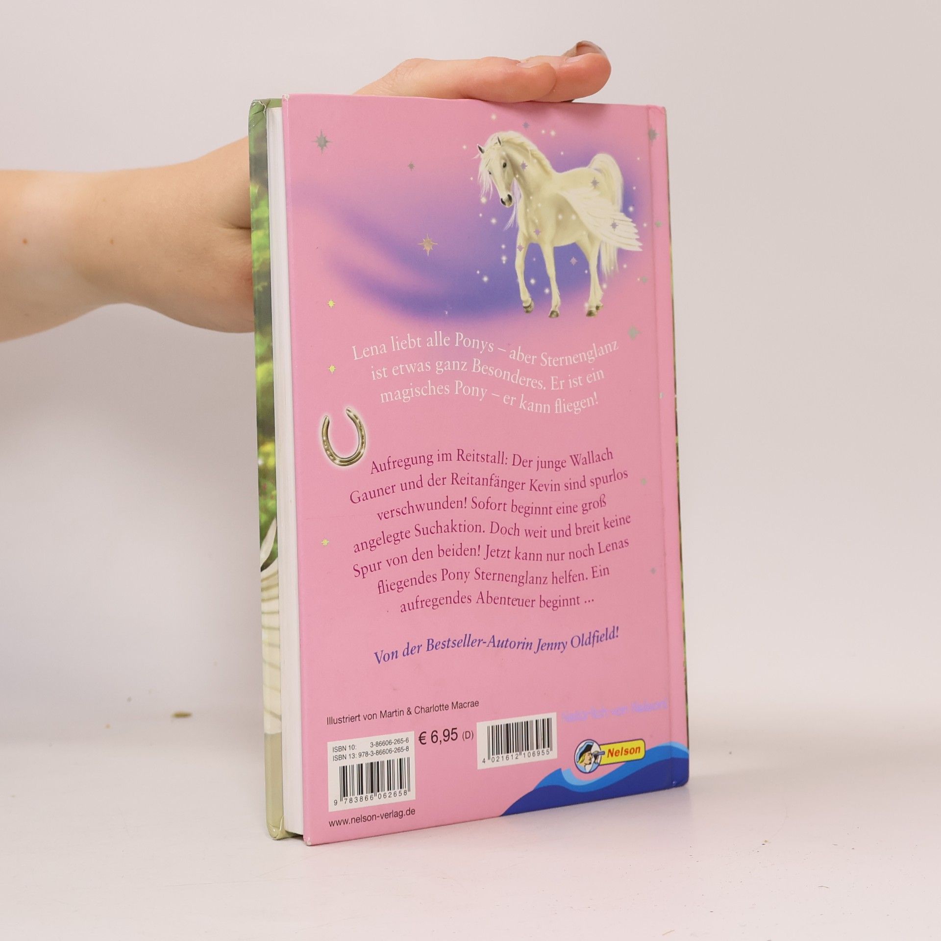 Jenny Oldfield Mein magisches Pony 1