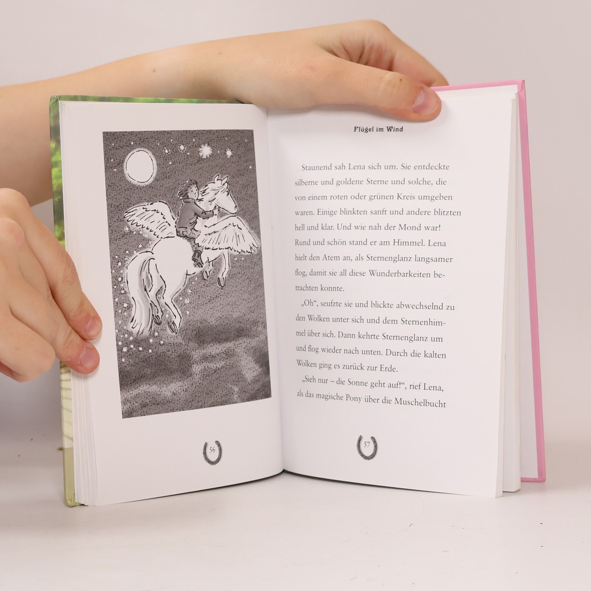 Jenny Oldfield Mein magisches Pony 1