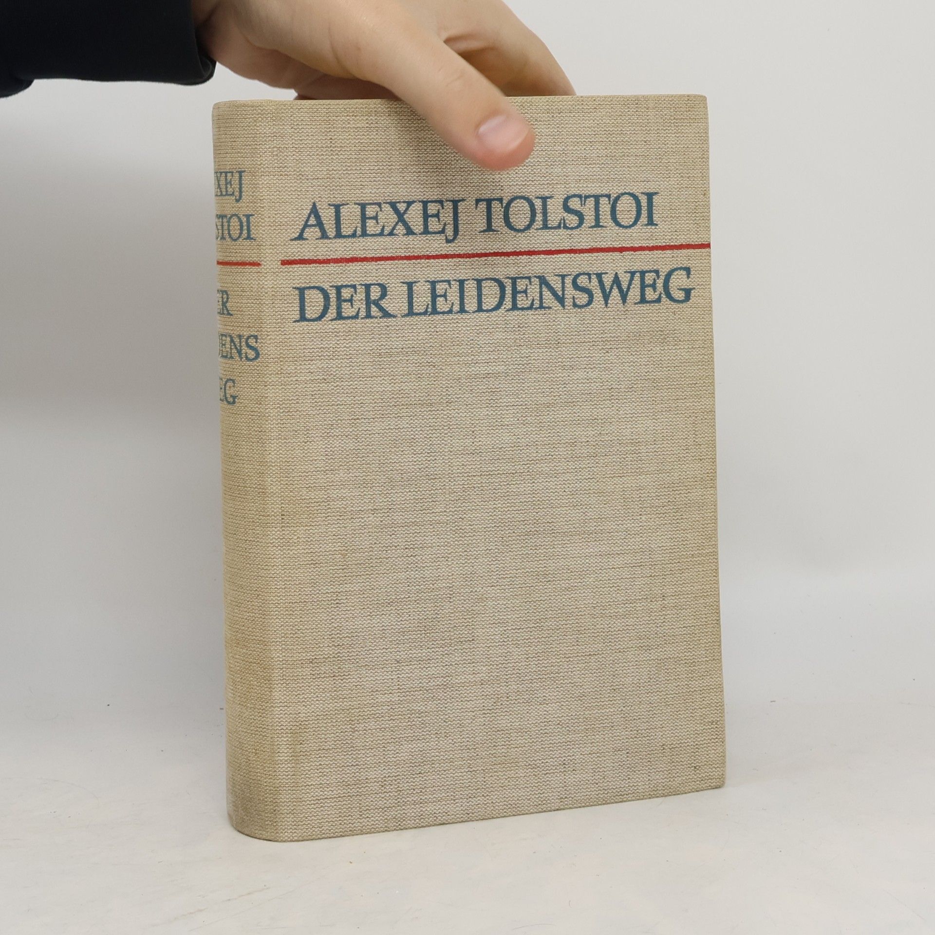 DER LEIDENSWEG