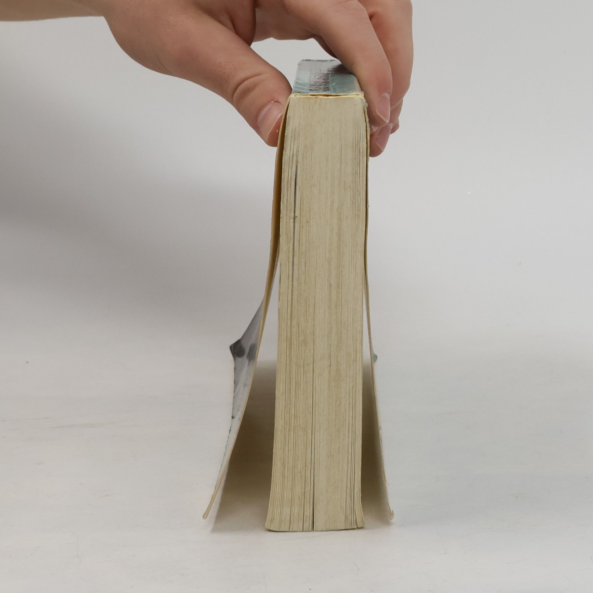 Thomas Cooley The Norton Sampler