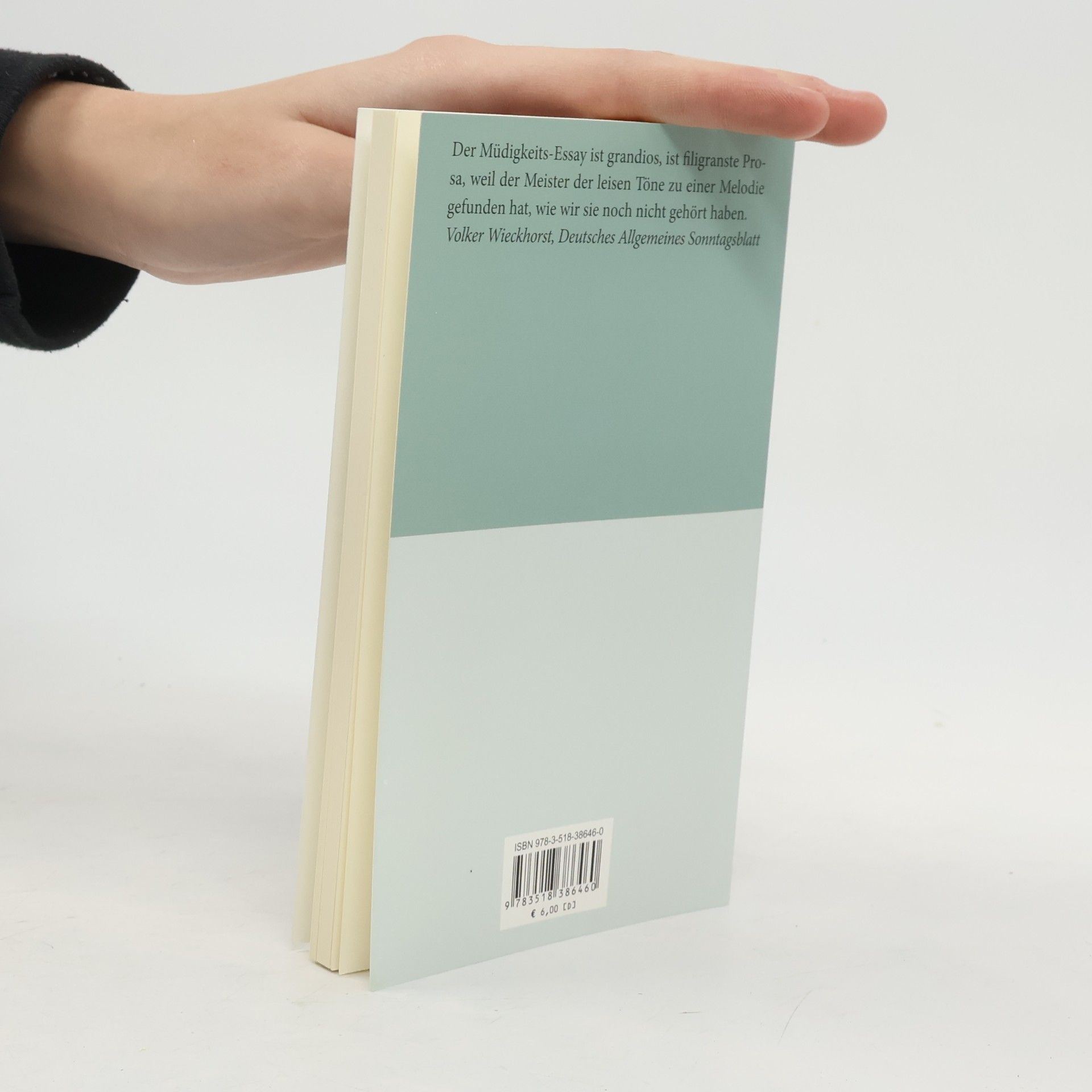 Peter Handke Versuch über die Müdigkeit