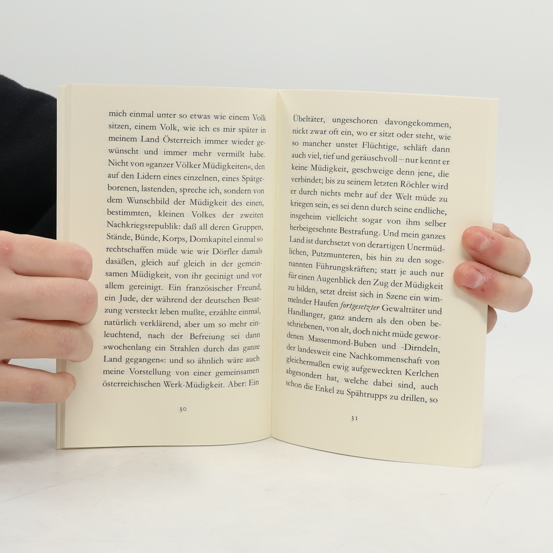 Peter Handke Versuch über die Müdigkeit