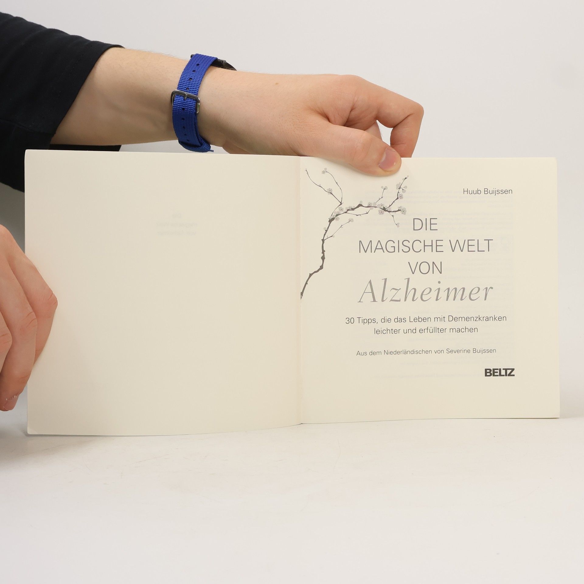 Huub Buijssen Die magische Welt von Alzheimer