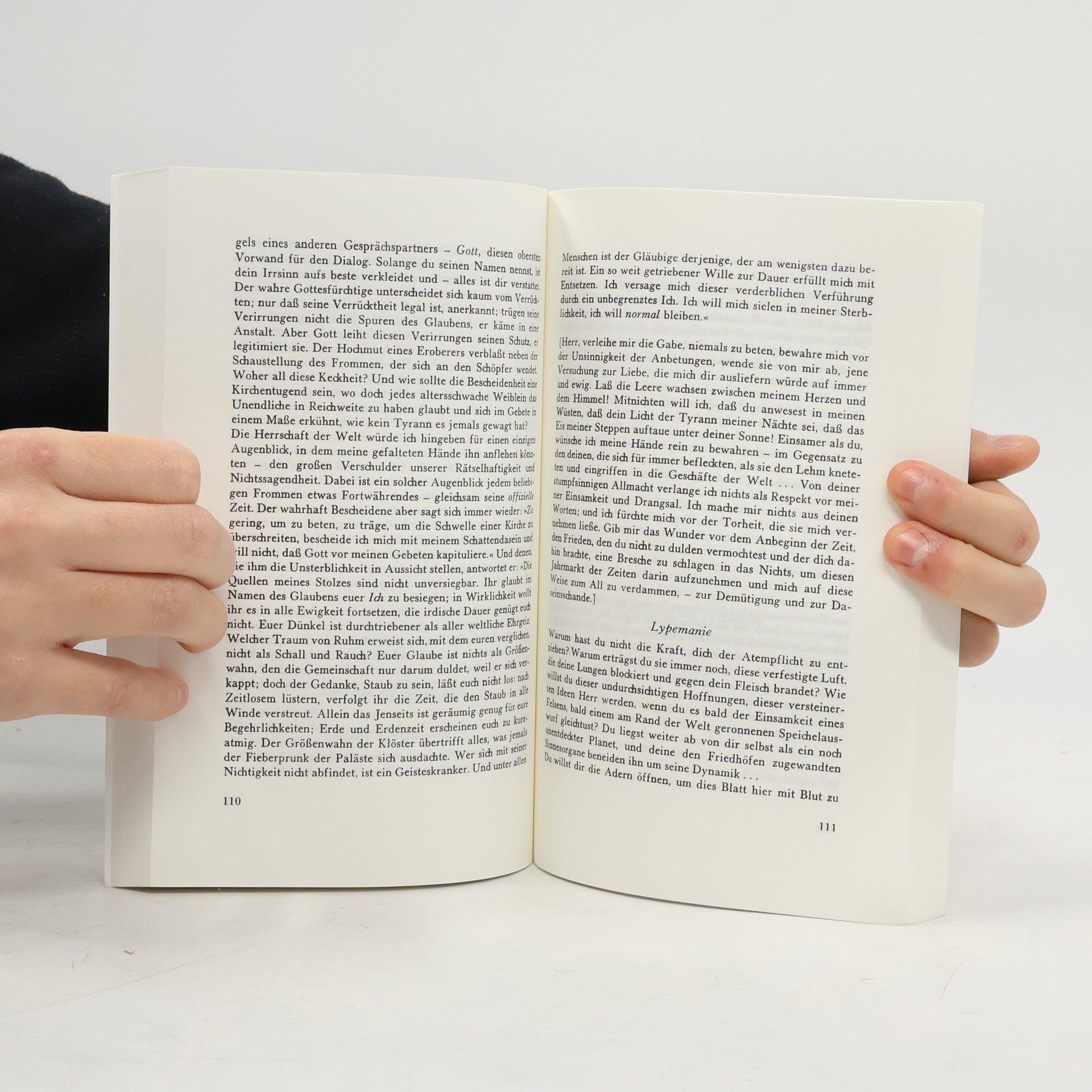 Emil Cioran Lehre vom Zerfall