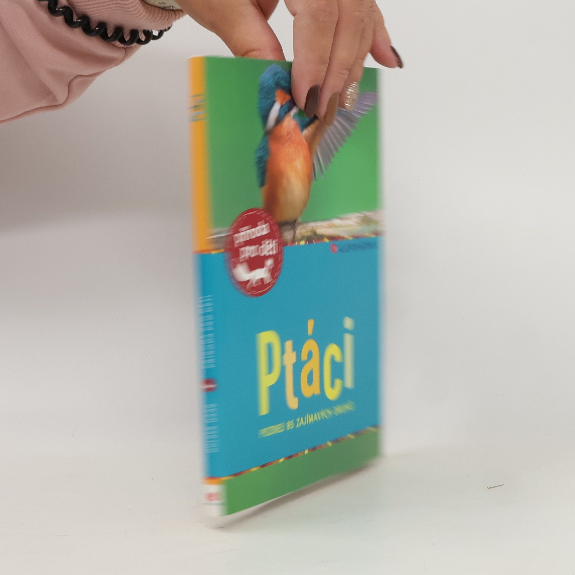 Ptáci – poznej 85 zajímavých druhů