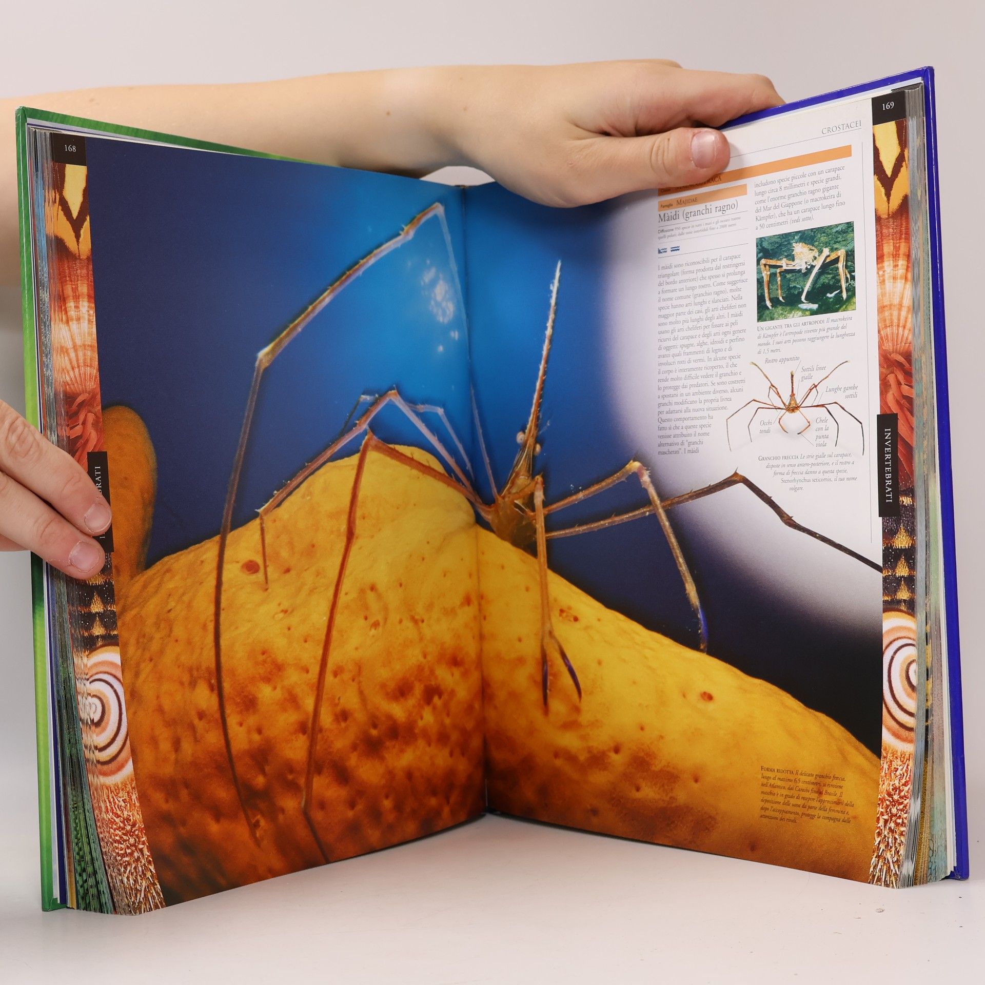 Various authors Animali 1