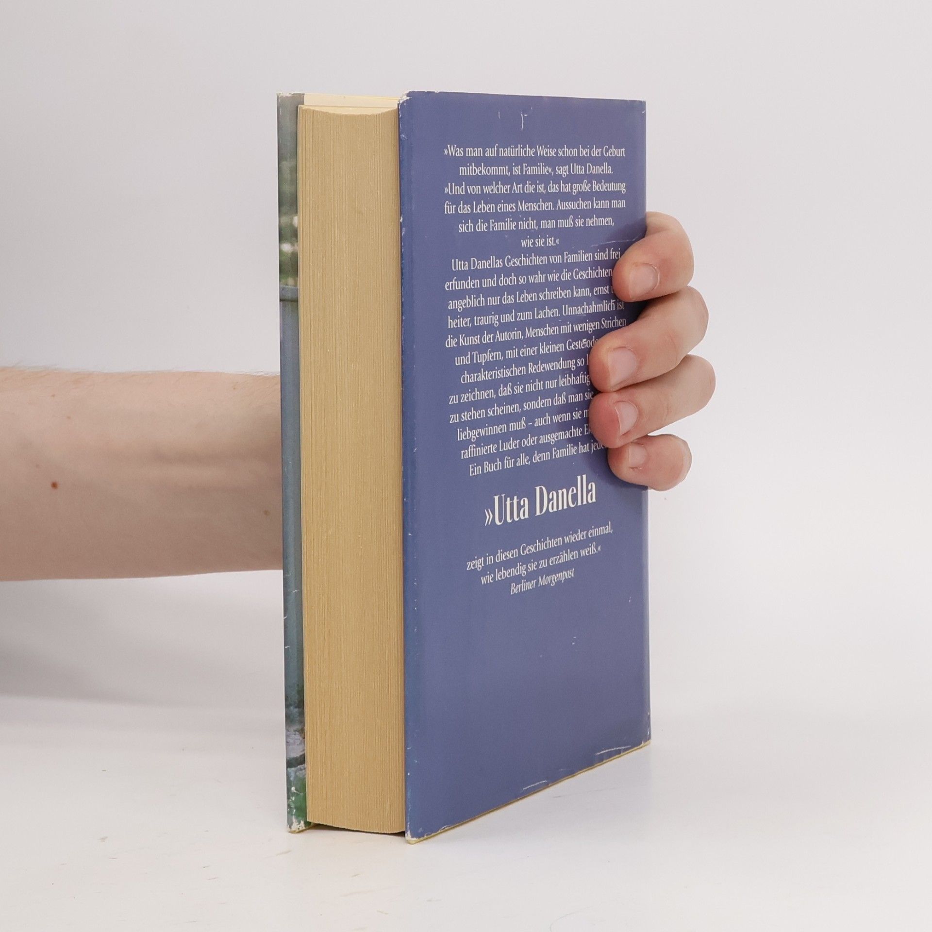 Utta Danella Familiengeschichten