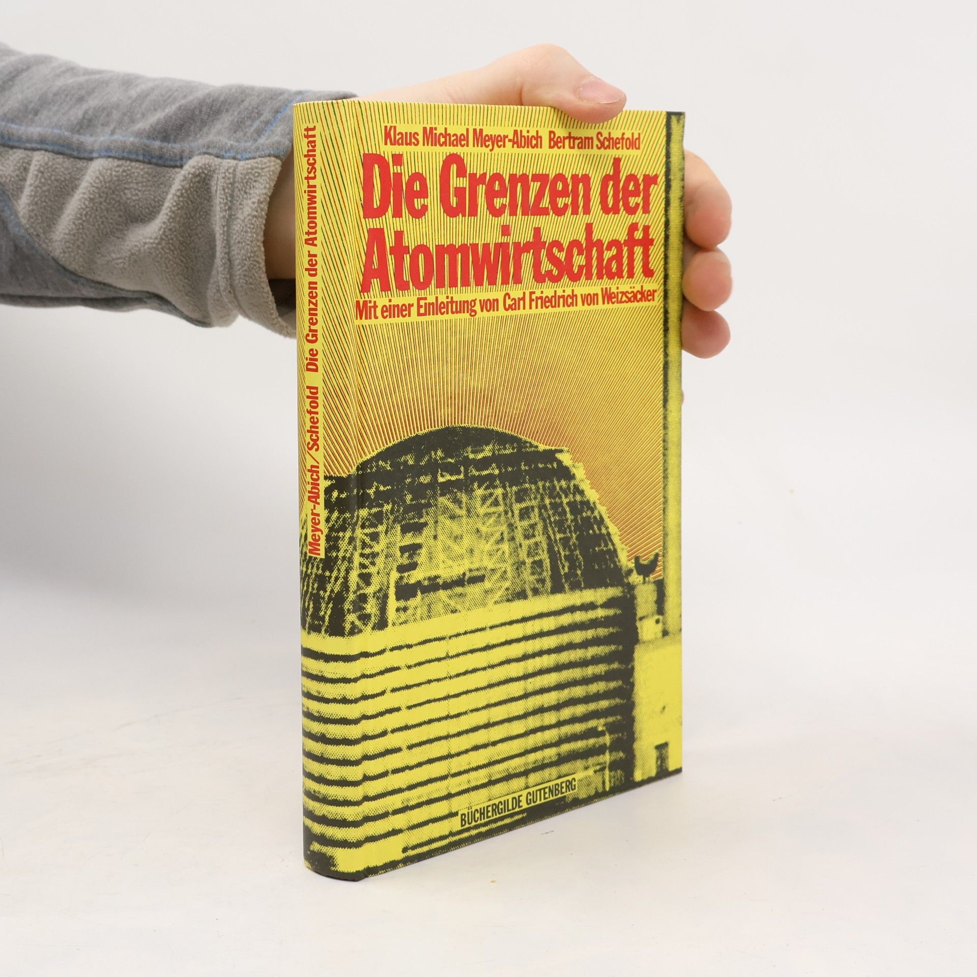 Die Grenzen der Atomwirtschaft