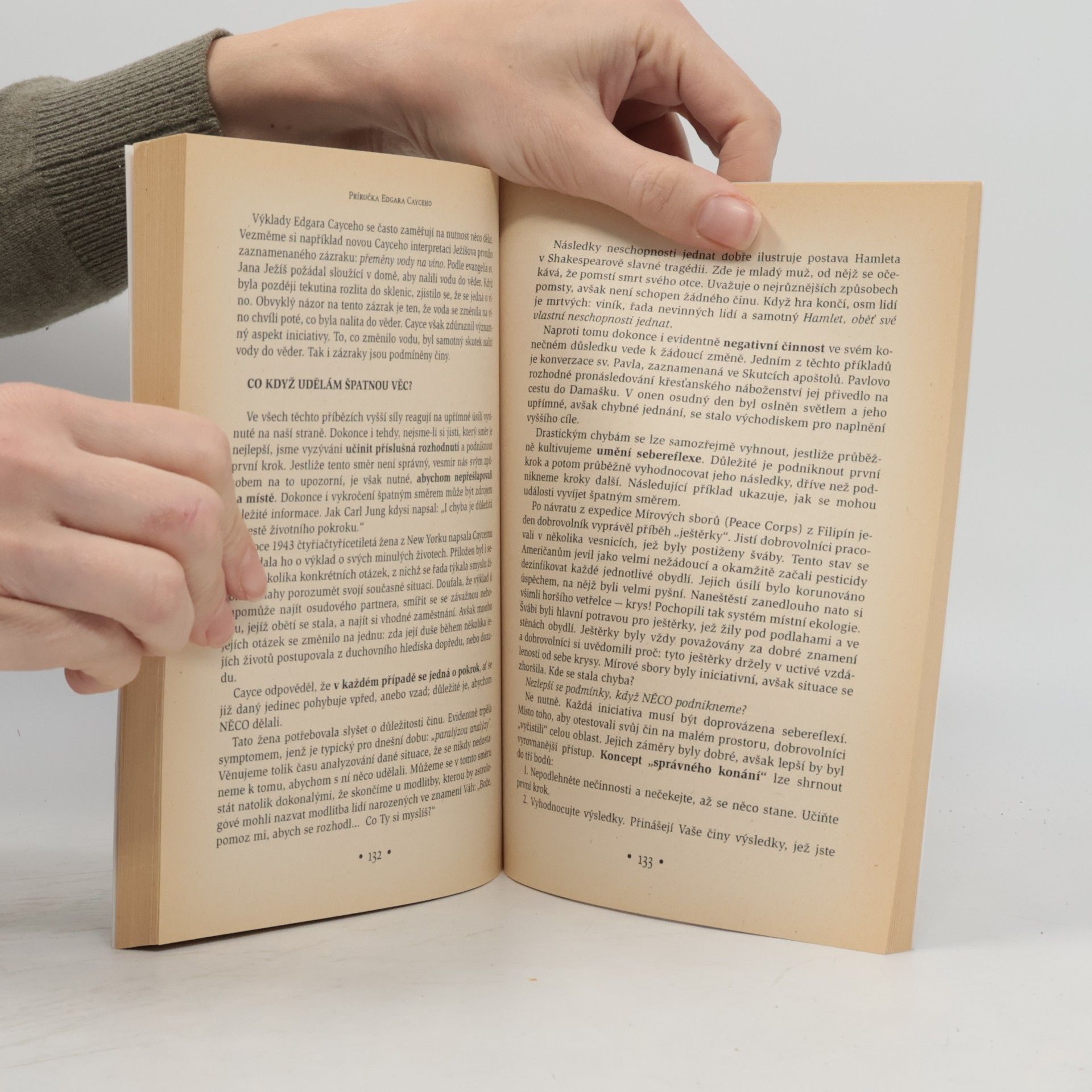 Edgar Cayce Jak správně žít : příručka o 24 principech