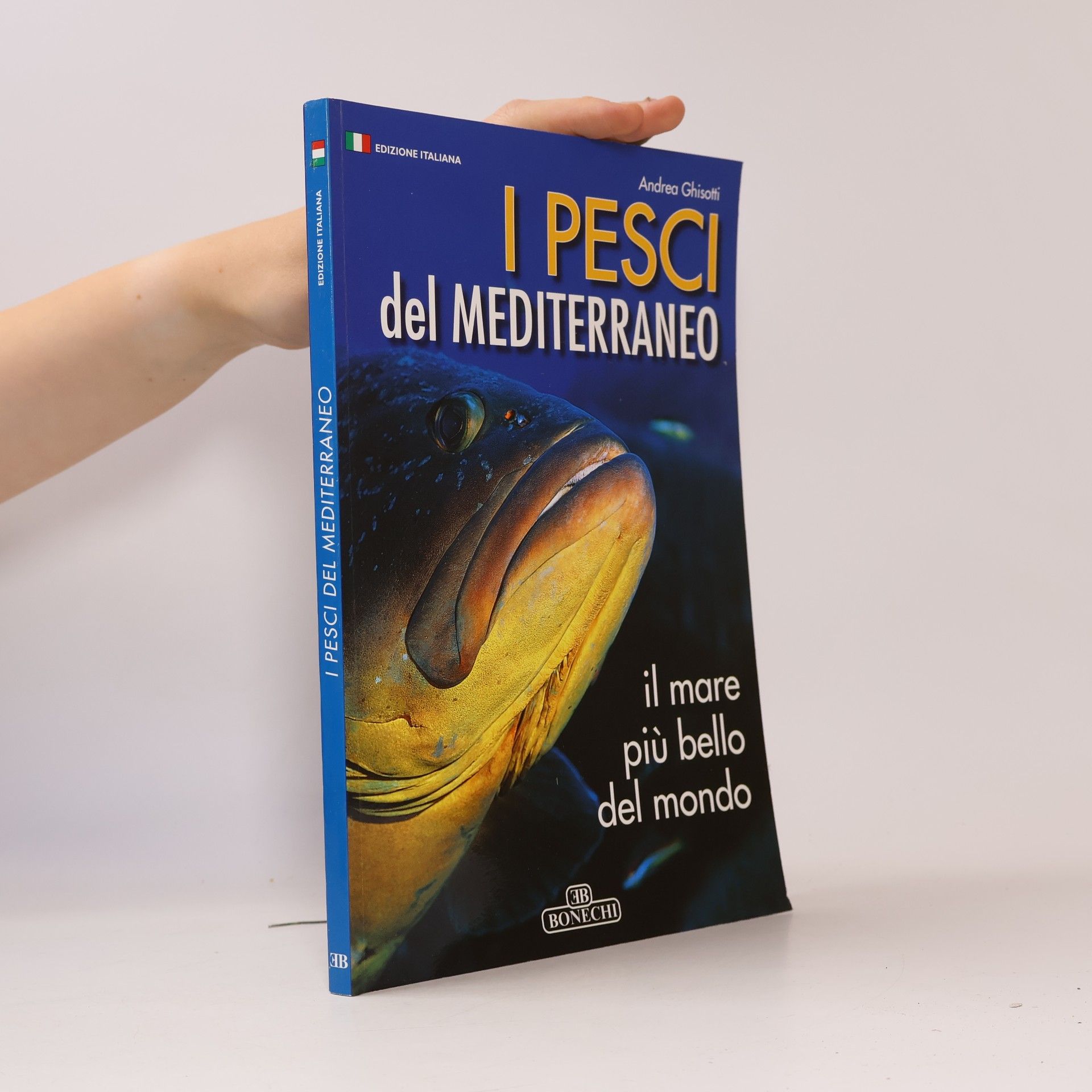 Pesci del Mediterraneo il mare più bello del mondo (Il fantastico mondo della natura)