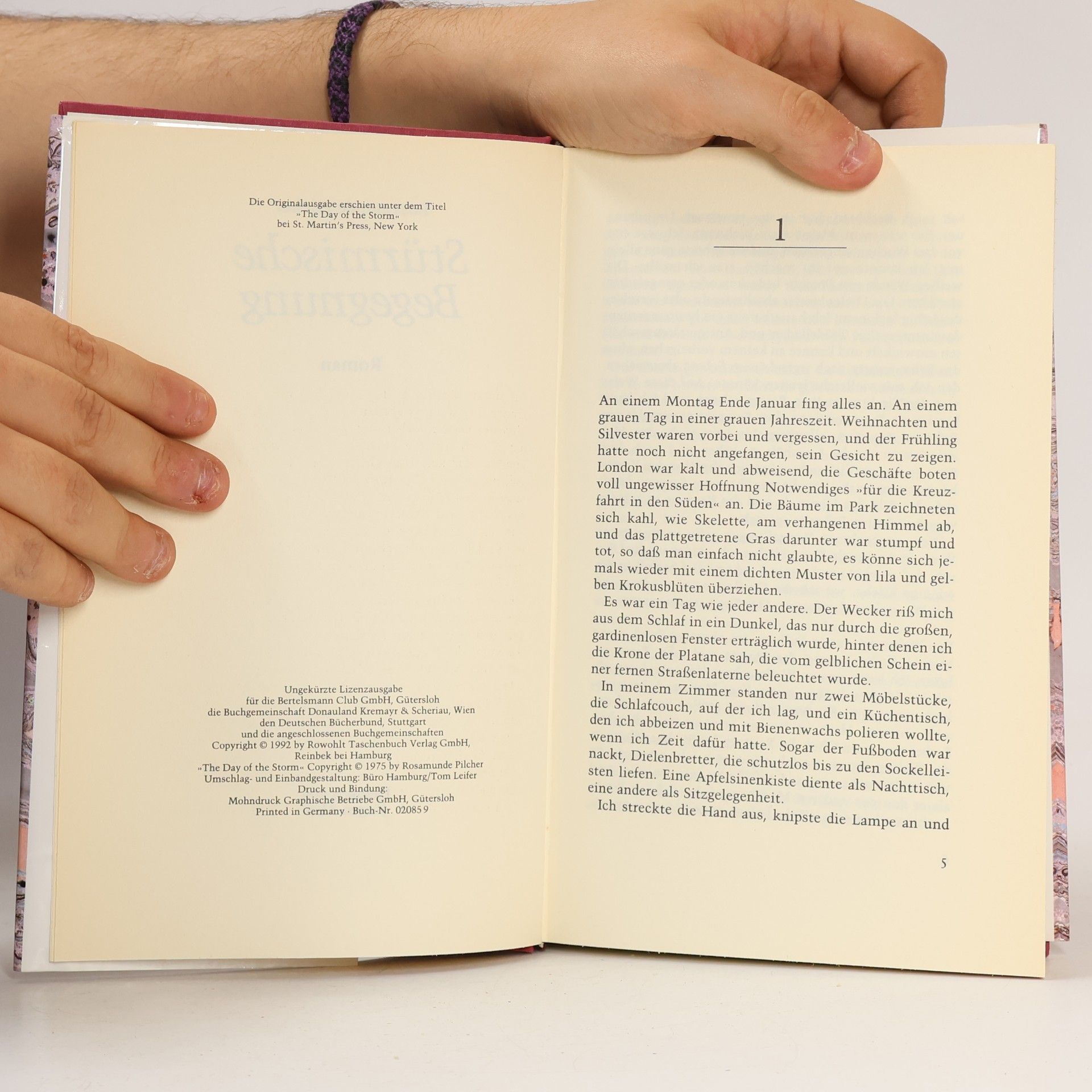 Rosamunde Pilcher Stürmische Begegnung