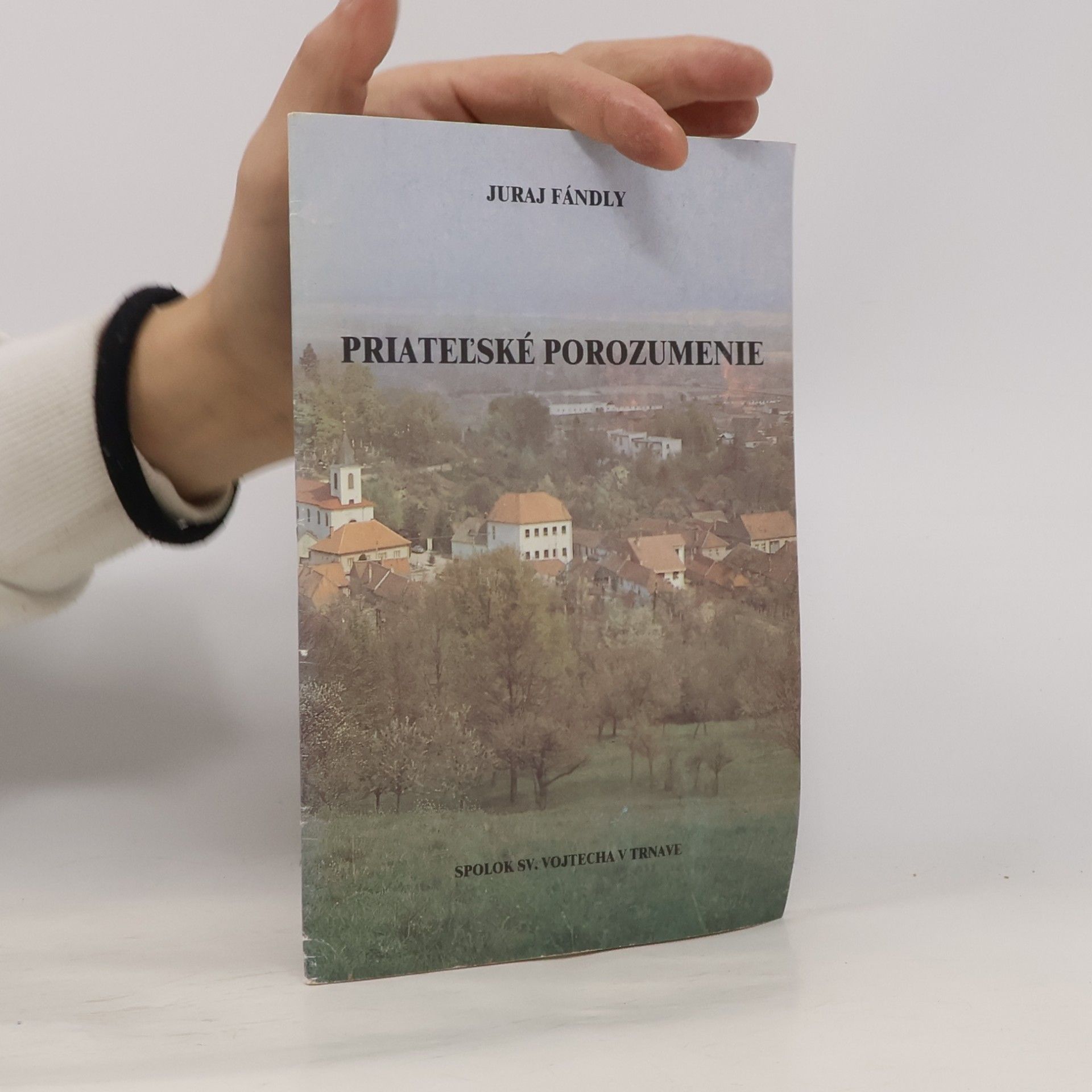 Priateľské porozumenie