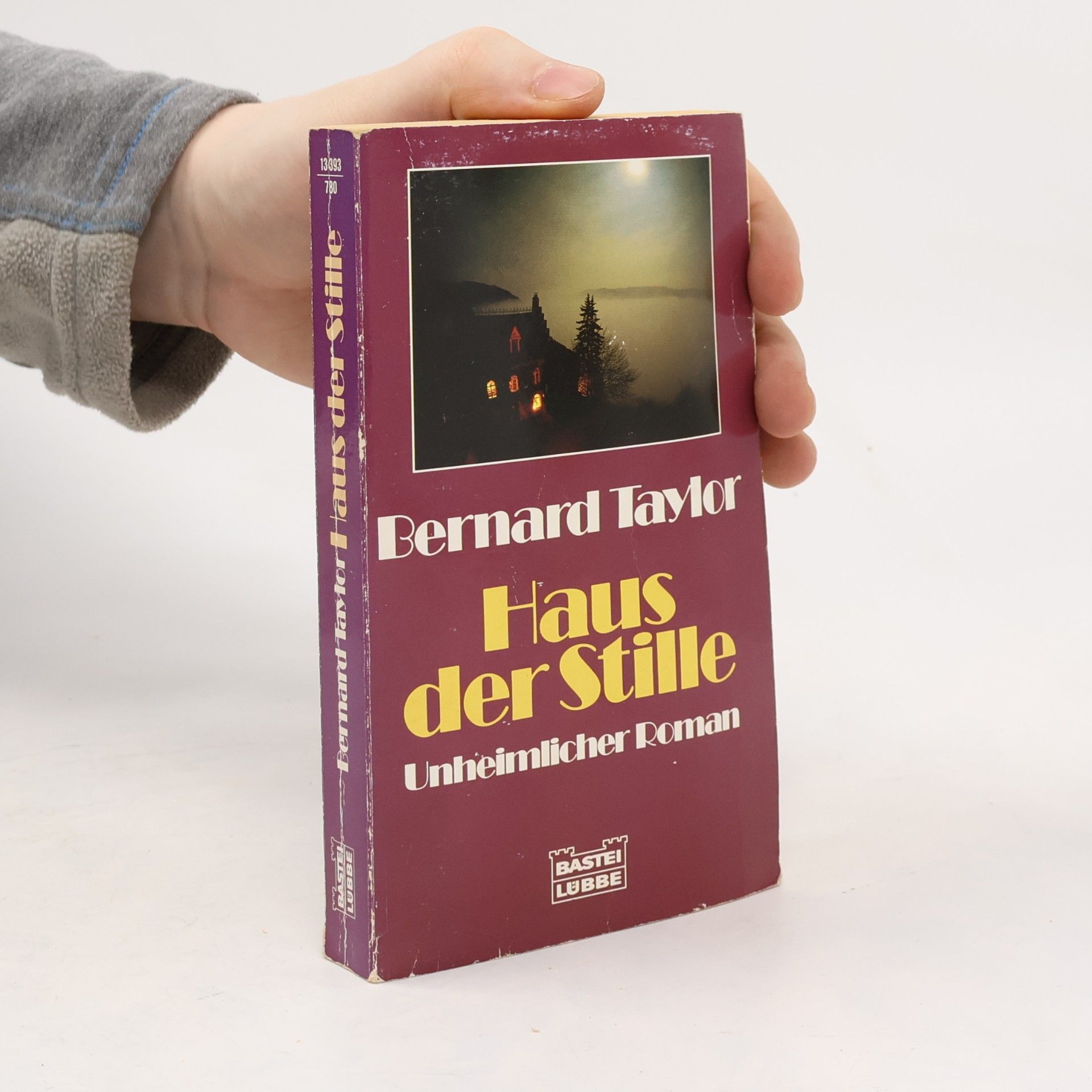 Das Haus der Stille. Unheimlicher Roman